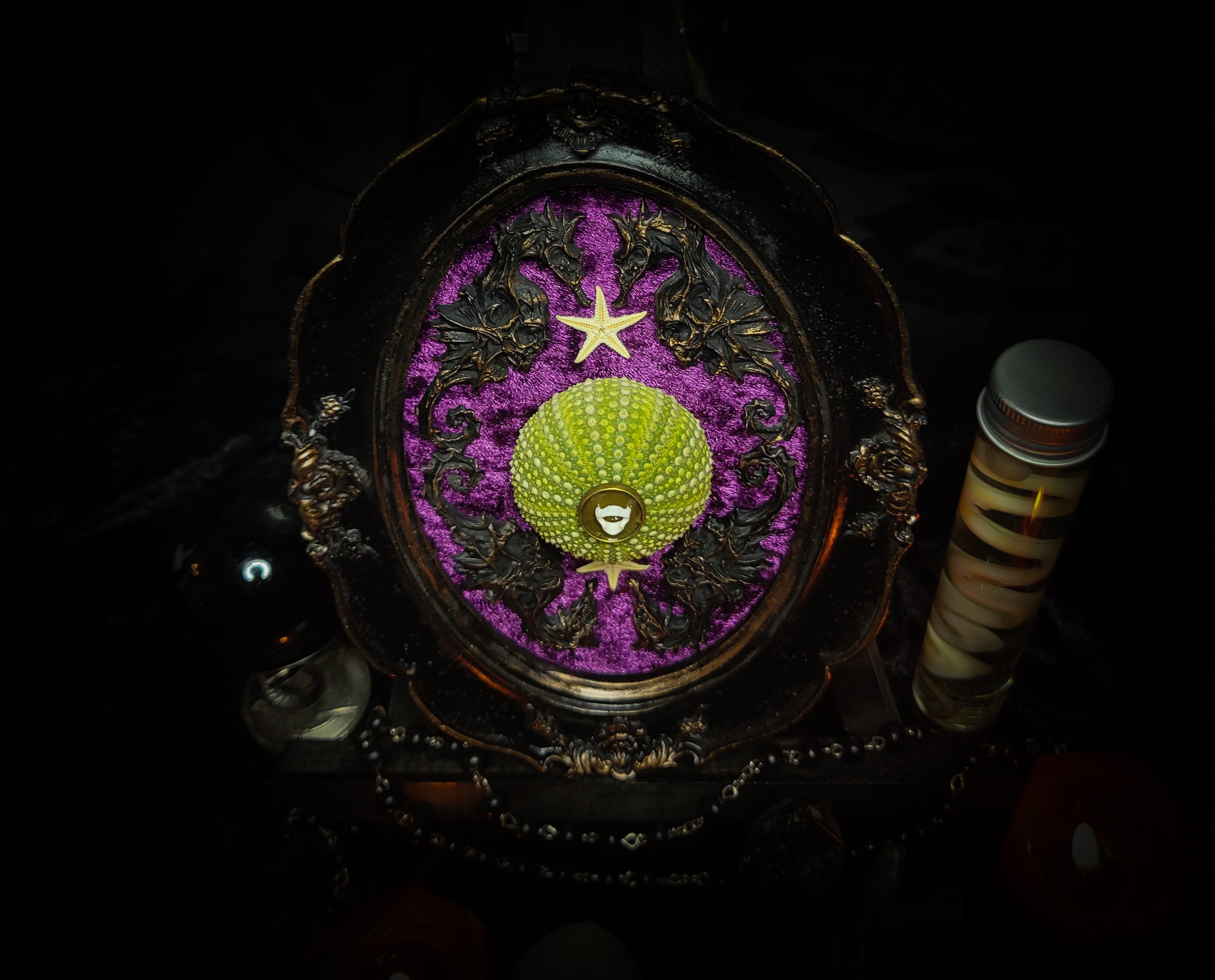 Sea Urchin Frame | Witches — handmade gothic wall decor with ethically sourced sea urchin skeleton, preserved starfish, four seahorses and crushed purple velvet in aged hand-painted frame, 17.5x13cm