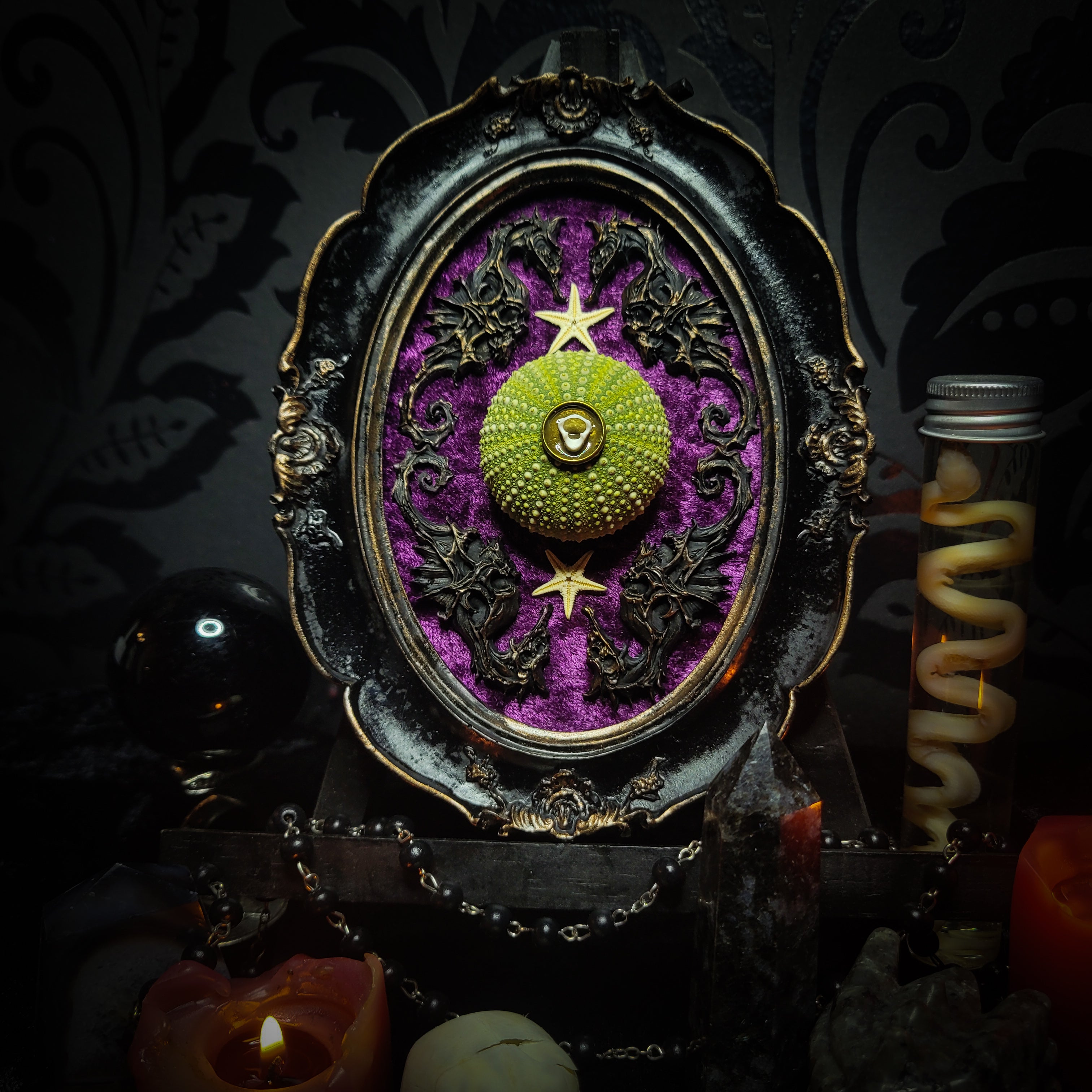 Sea Urchin Frame | Witches — handmade gothic wall decor with ethically sourced sea urchin skeleton, preserved starfish, four seahorses and crushed purple velvet in aged hand-painted frame, 17.5x13cm