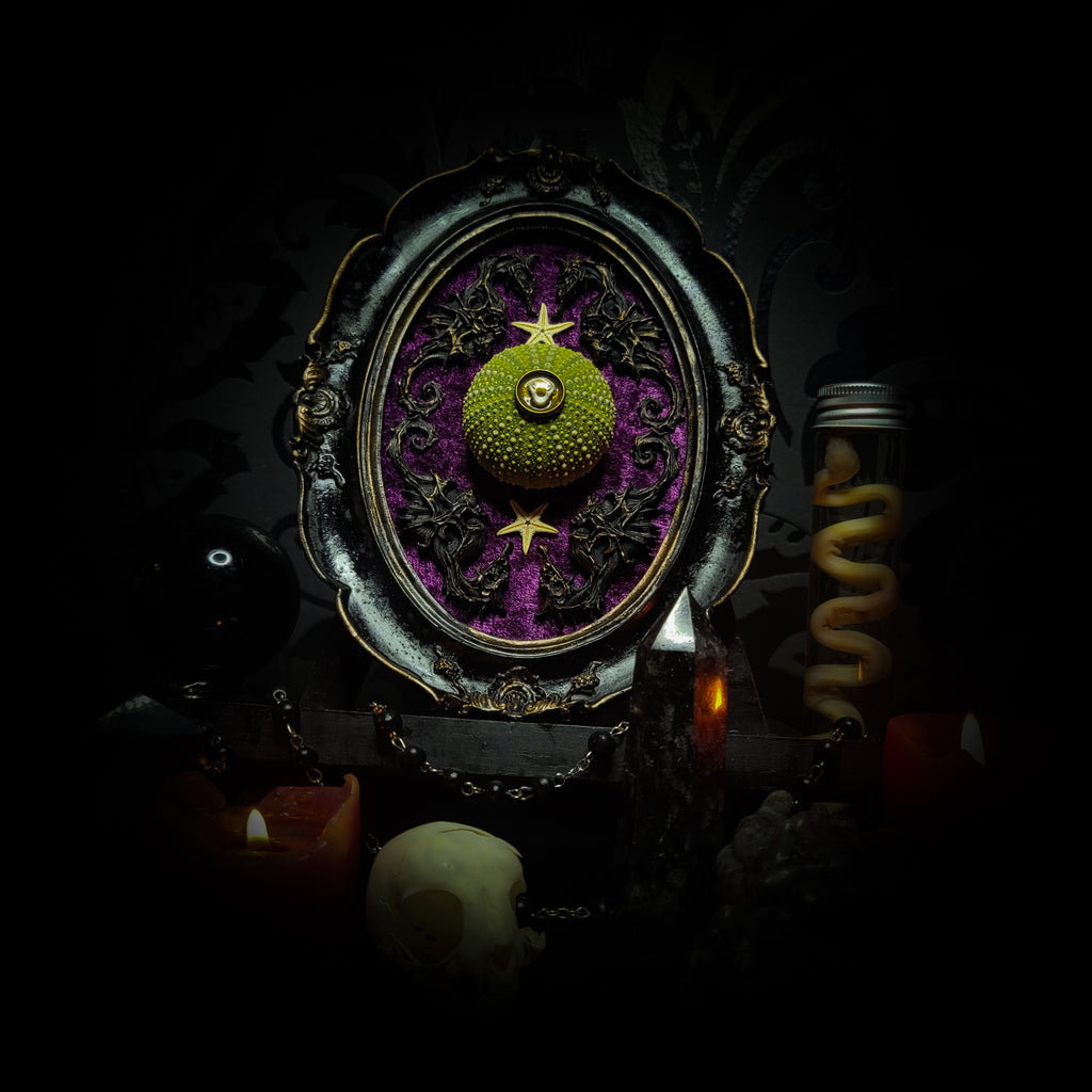 Sea Urchin Frame | Witches — handmade gothic wall decor with ethically sourced sea urchin skeleton, preserved starfish, four seahorses and crushed purple velvet in aged hand-painted frame, 17.5x13cm