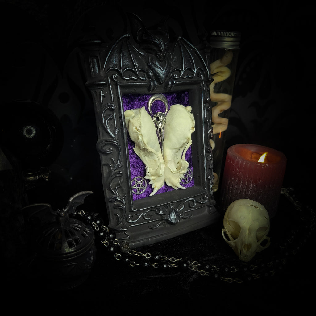 Nocrta | Gothic — handmade gothic wall decor with real mink skull mirrored composition, bat ornament, crescent moon and twin pentacles on deep purple velvet, 16x11cm