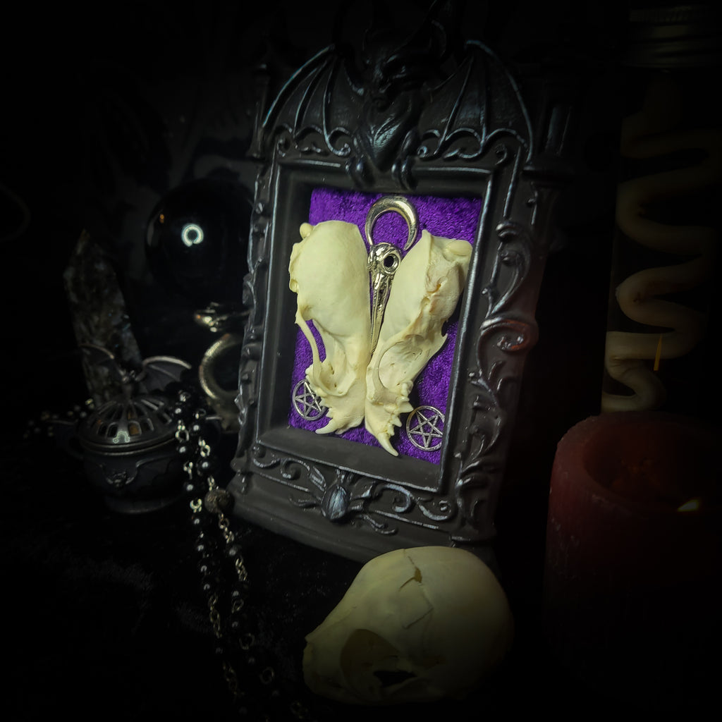 Nocrta | Gothic — handmade gothic wall decor with real mink skull mirrored composition, bat ornament, crescent moon and twin pentacles on deep purple velvet, 16x11cm