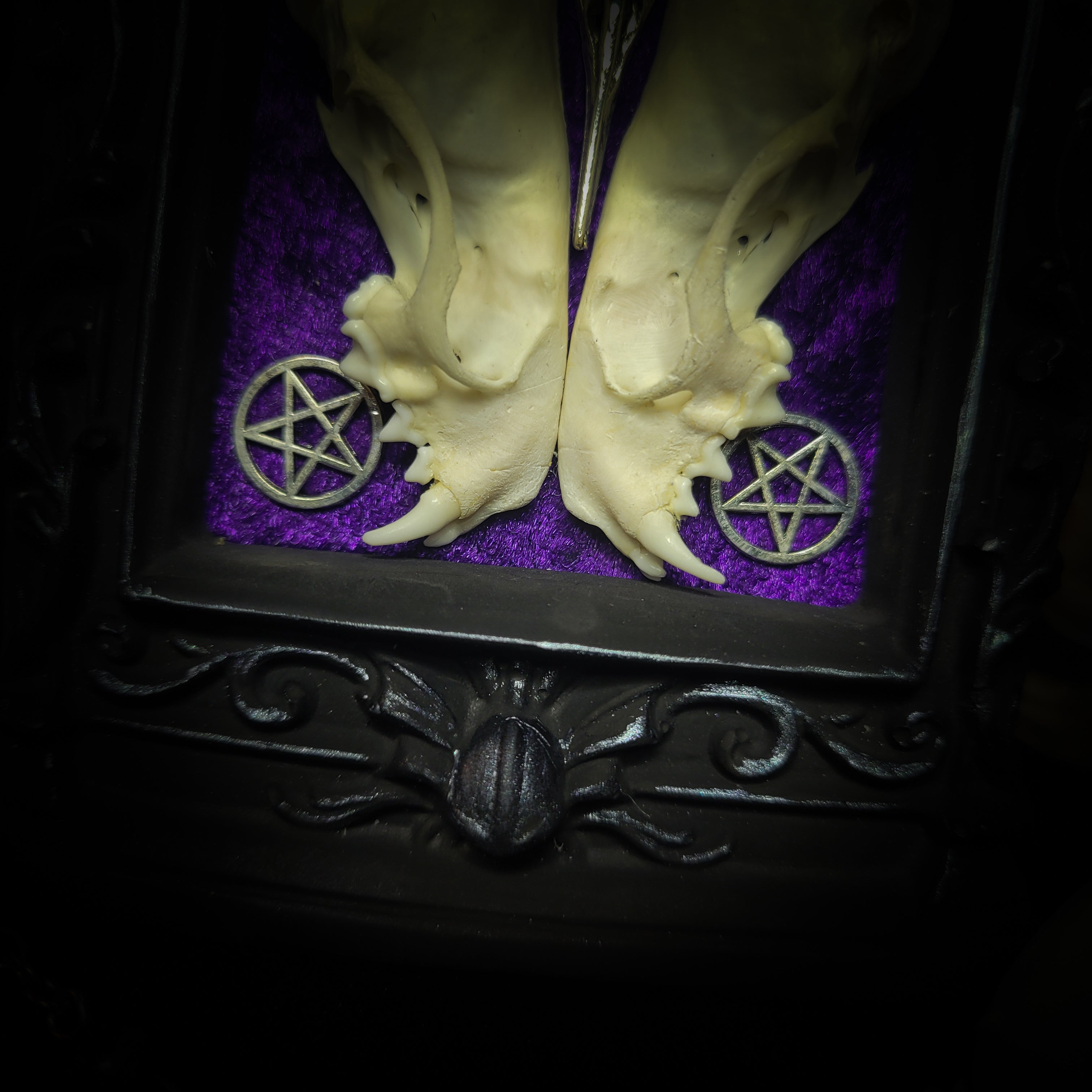Nocrta | Gothic — handmade gothic wall decor with real mink skull mirrored composition, bat ornament, crescent moon and twin pentacles on deep purple velvet, 16x11cm