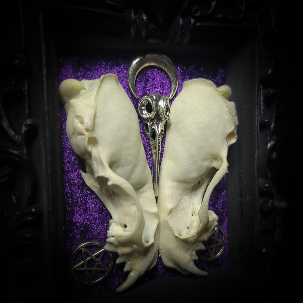 Nocrta | Gothic — handmade gothic wall decor with real mink skull mirrored composition, bat ornament, crescent moon and twin pentacles on deep purple velvet, 16x11cm