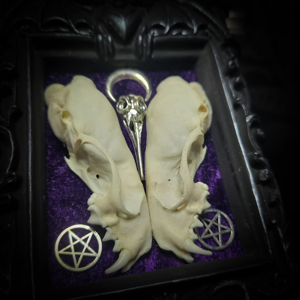Nocrta | Gothic — handmade gothic wall decor with real mink skull mirrored composition, bat ornament, crescent moon and twin pentacles on deep purple velvet, 16x11cm