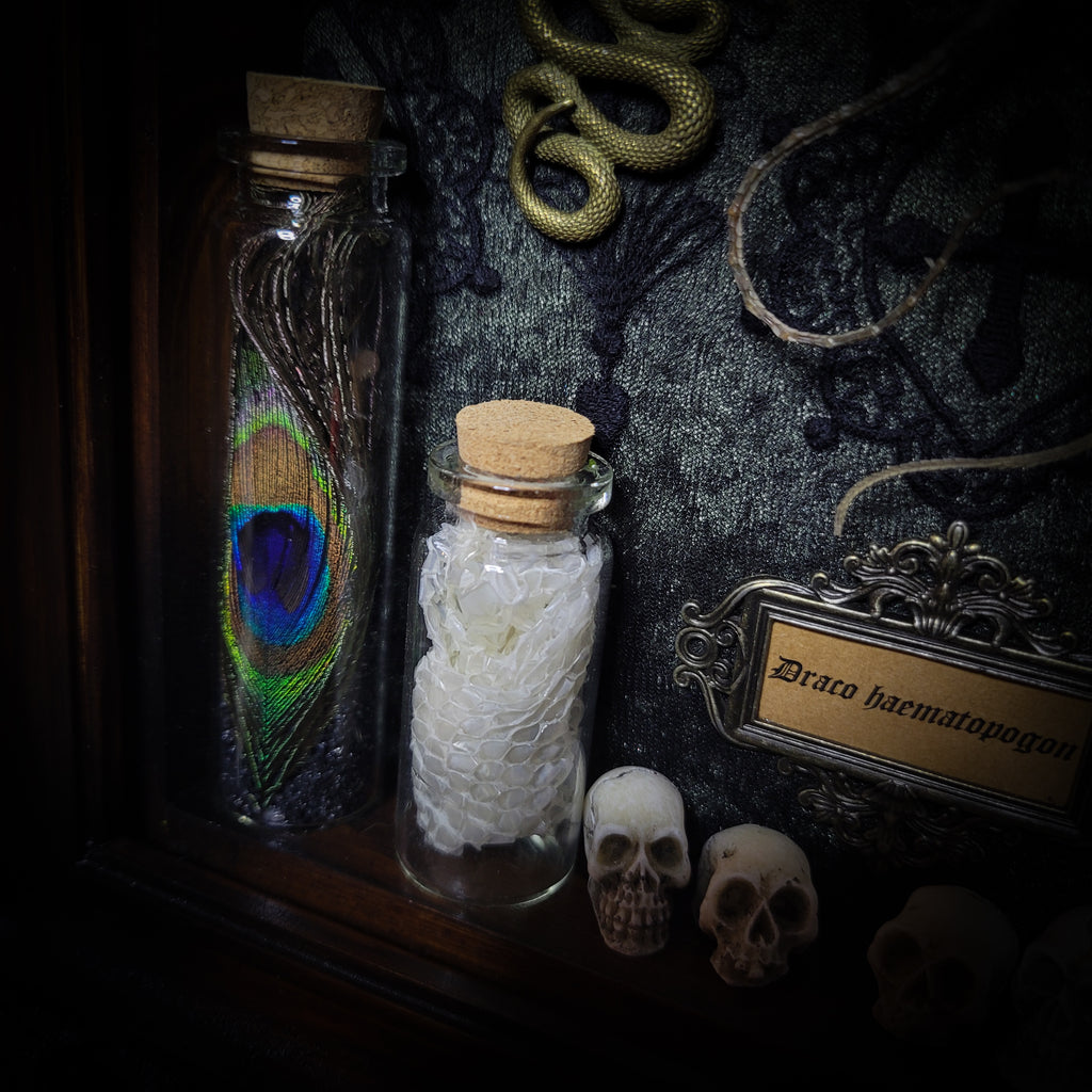 Moonaris — handmade gothic shadowbox, made to order. Preserved lizard specimen in wooden frame with black velvet and lace, quartz and obsidian crescent moons, snakeskin, peacock feathers, ornamental snakes and miniature skulls. Dark ritual wall decor, 27x21cm.