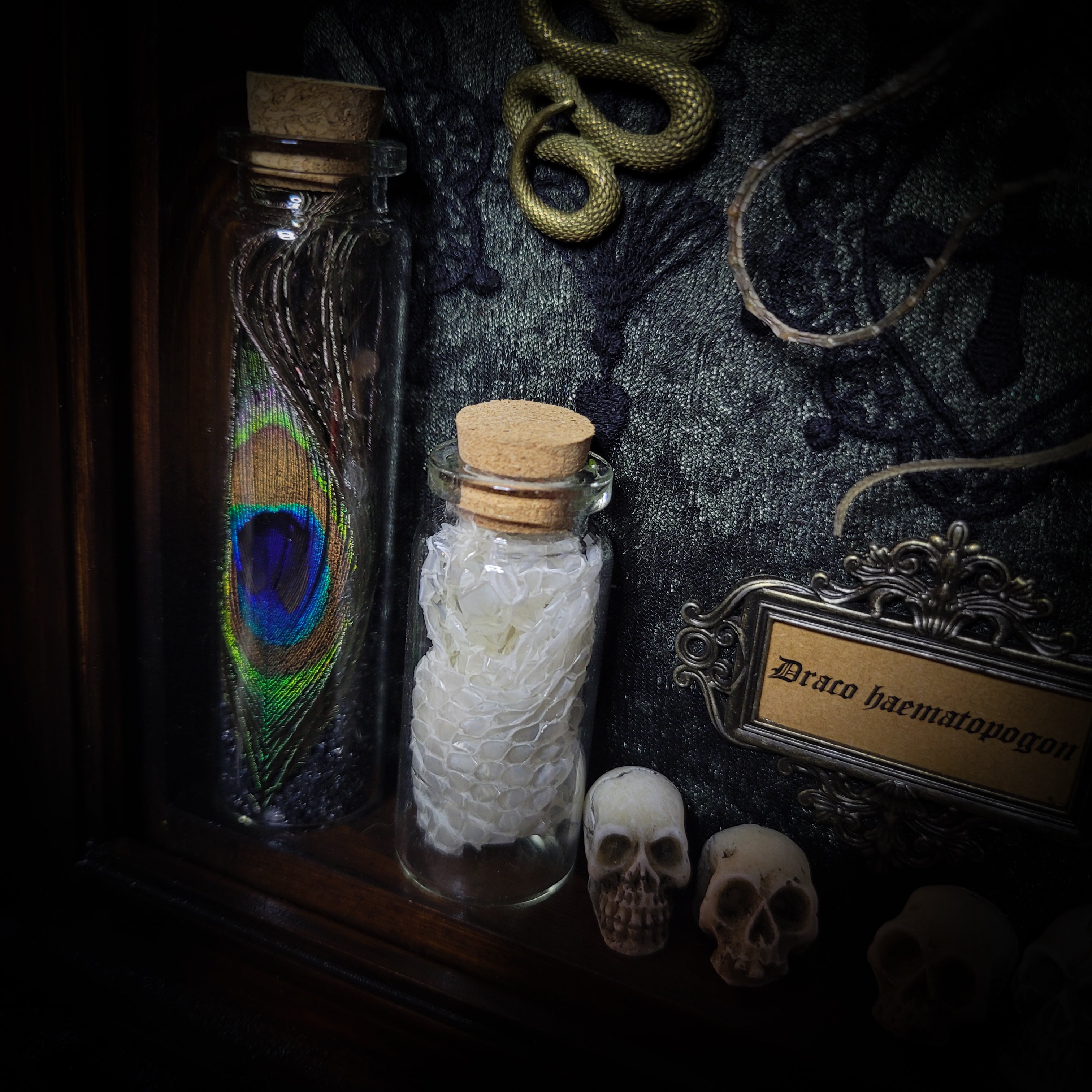 Moonaris — handmade gothic shadowbox, made to order. Preserved lizard specimen in wooden frame with black velvet and lace, quartz and obsidian crescent moons, snakeskin, peacock feathers, ornamental snakes and miniature skulls. Dark ritual wall decor, 27x21cm.