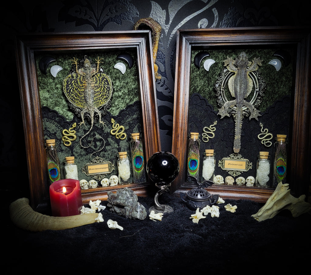 Moonaris — handmade gothic shadowbox, made to order. Preserved lizard specimen in wooden frame with black velvet and lace, quartz and obsidian crescent moons, snakeskin, peacock feathers, ornamental snakes and miniature skulls. Dark ritual wall decor, 27x21cm.