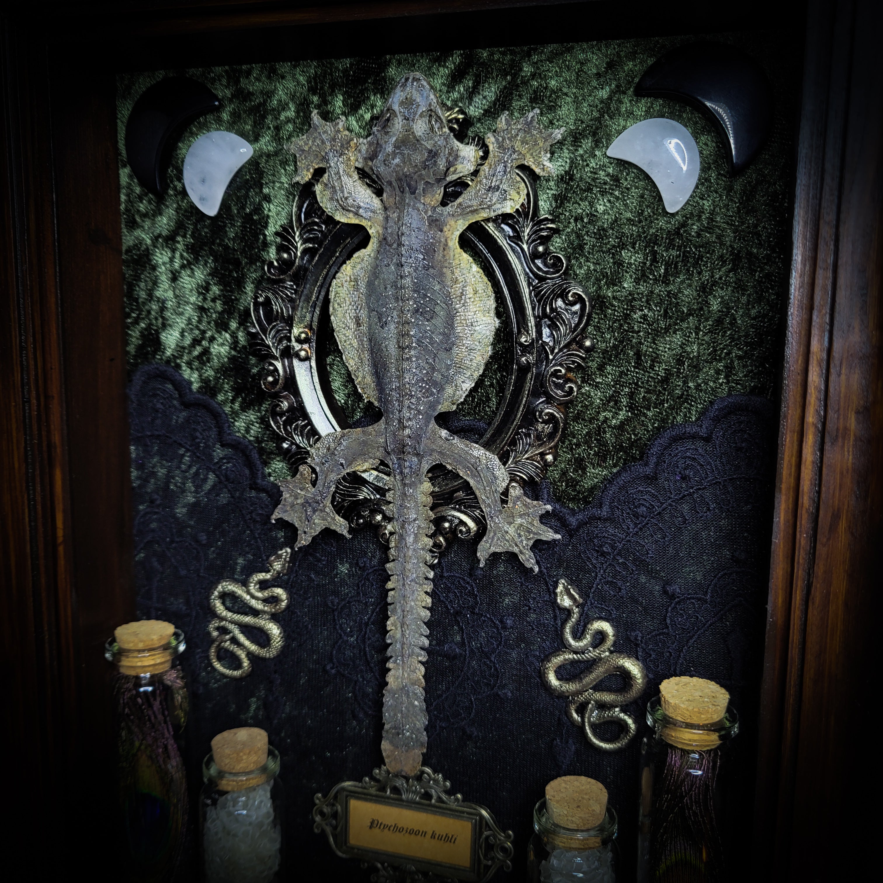 Moonaris — handmade gothic shadowbox, made to order. Preserved lizard specimen in wooden frame with black velvet and lace, quartz and obsidian crescent moons, snakeskin, peacock feathers, ornamental snakes and miniature skulls. Dark ritual wall decor, 27x21cm.