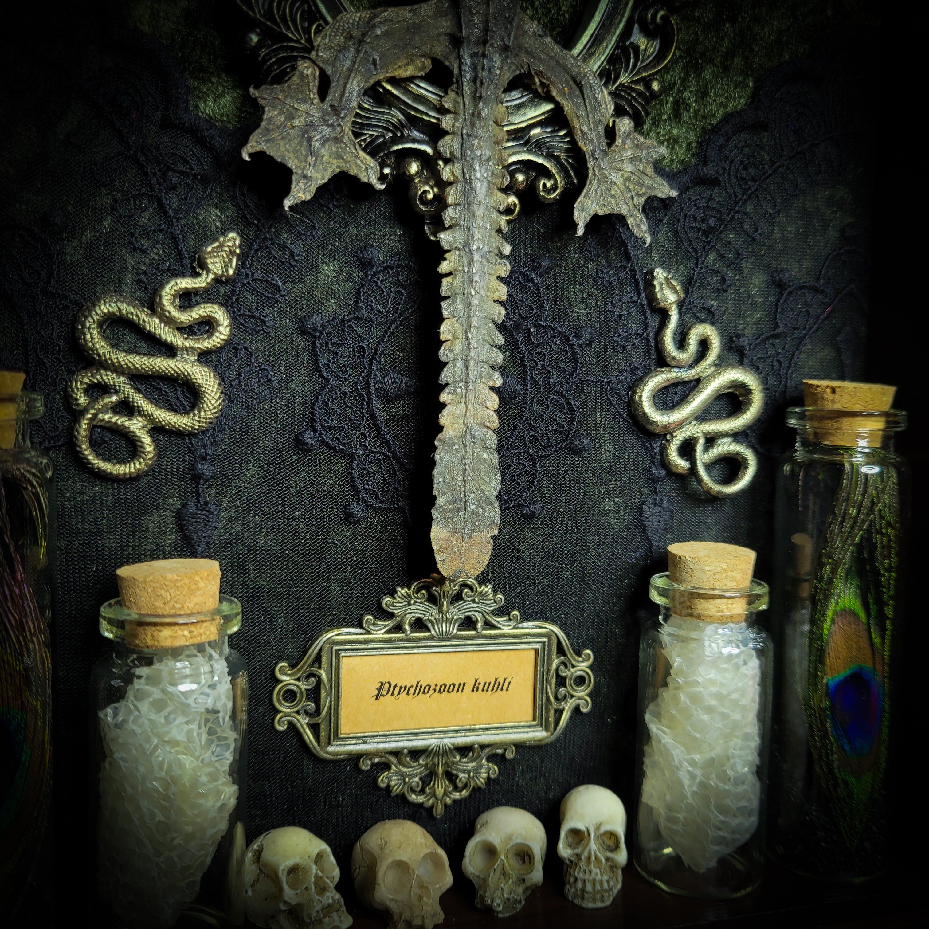 Moonaris — handmade gothic shadowbox, made to order. Preserved lizard specimen in wooden frame with black velvet and lace, quartz and obsidian crescent moons, snakeskin, peacock feathers, ornamental snakes and miniature skulls. Dark ritual wall decor, 27x21cm.