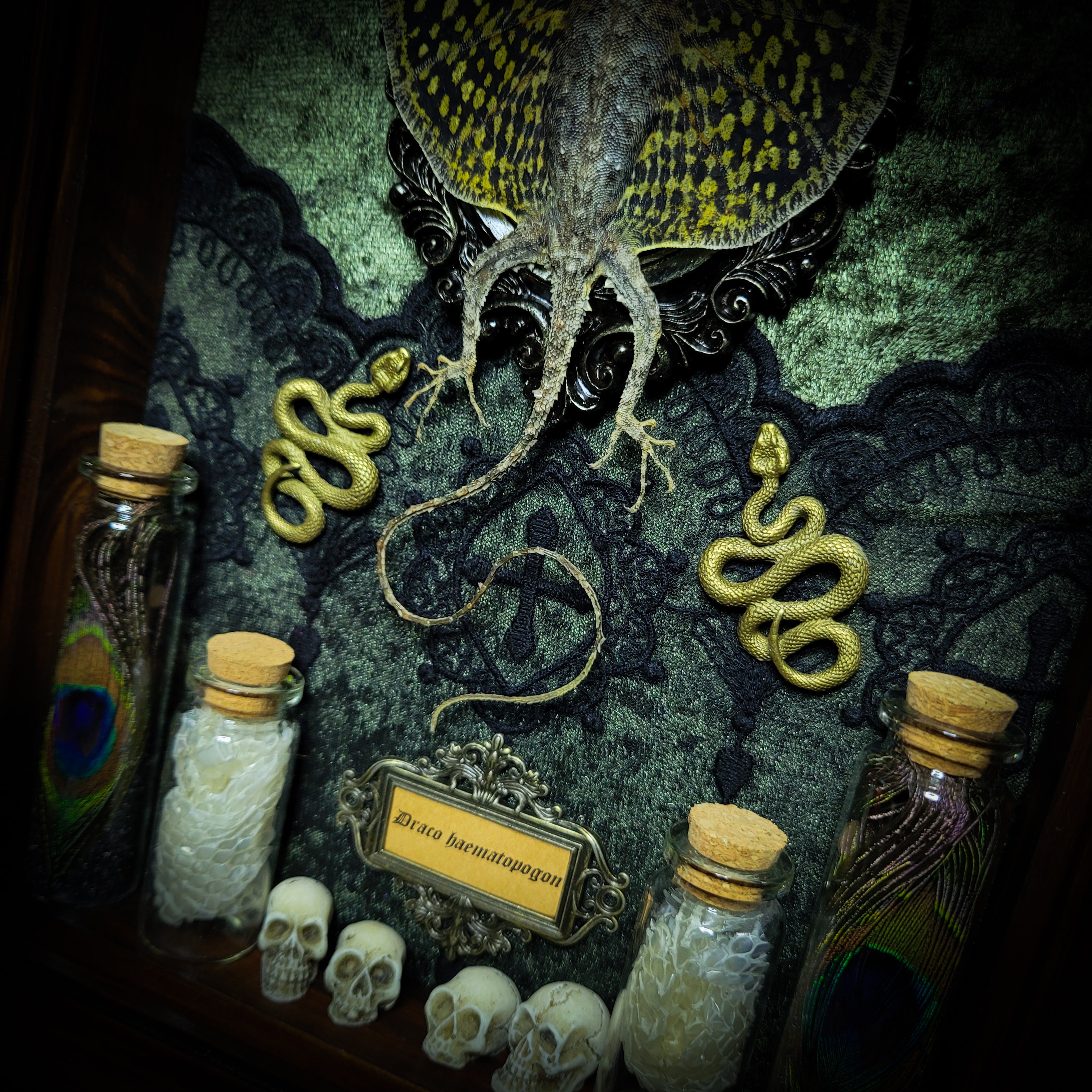 Moonaris — handmade gothic shadowbox, made to order. Preserved lizard specimen in wooden frame with black velvet and lace, quartz and obsidian crescent moons, snakeskin, peacock feathers, ornamental snakes and miniature skulls. Dark ritual wall decor, 27x21cm.