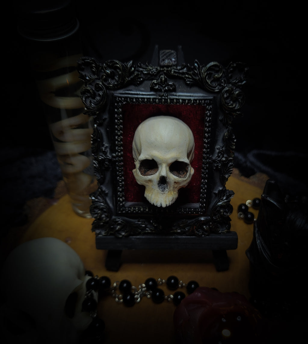 Memento parvum — handmade gothic skull shadowbox, baroque ornate frame, red velvet, dark altar decor, made to order, Morbid Oddities
