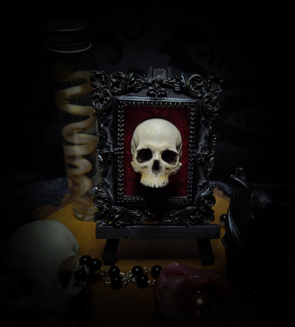 Memento parvum — handmade gothic skull shadowbox, baroque ornate frame, red velvet, dark altar decor, made to order, Morbid Oddities
