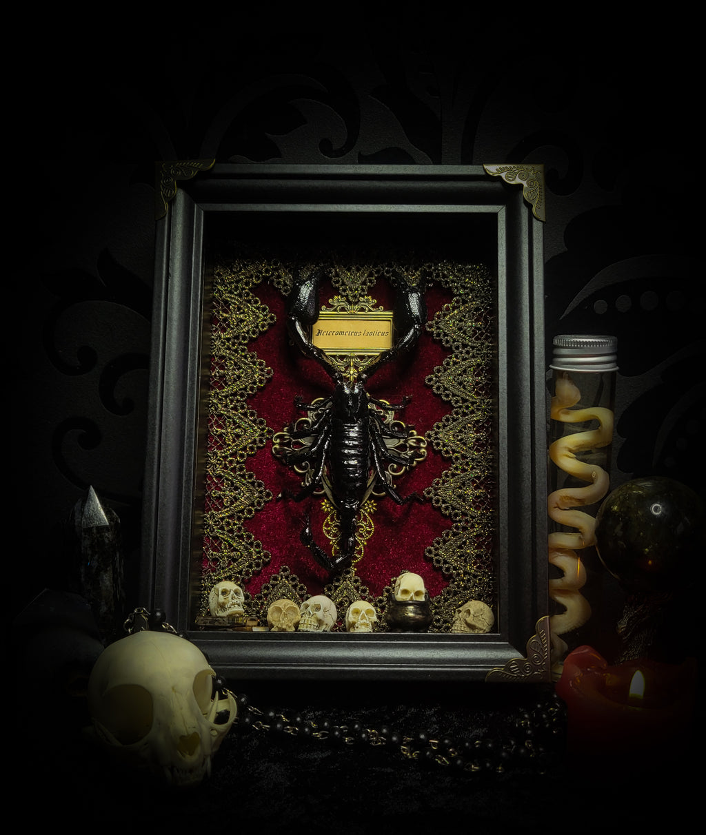Venosa — handmade gothic shadowbox, made to order. Preserved scorpion on velvet background with ornate lace embellishments, decorative skull elements, miniature books, cauldron and Latin species nameplate. Dark ritual wall decor, 21x16cm.