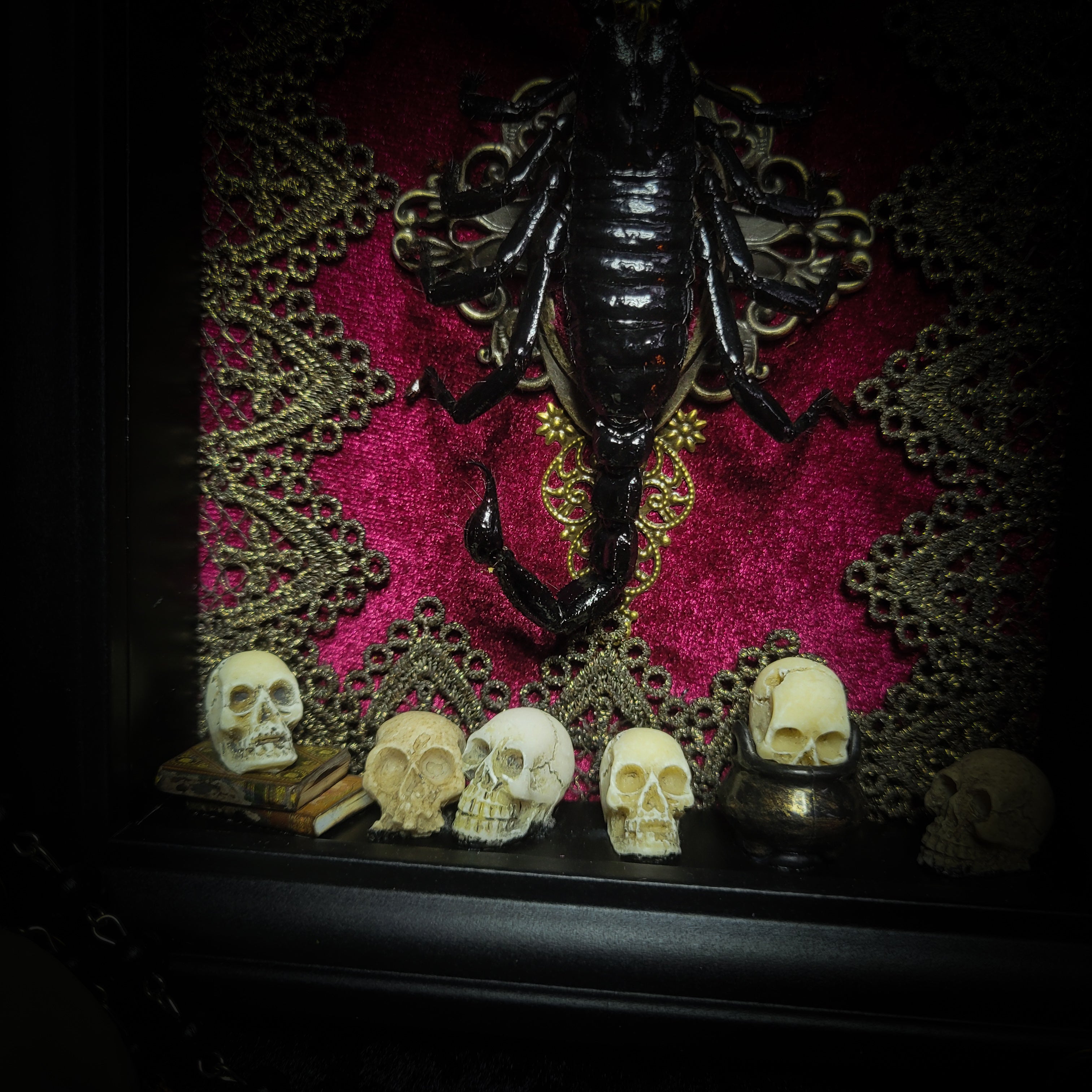 Venosa — handmade gothic shadowbox, made to order. Preserved scorpion on velvet background with ornate lace embellishments, decorative skull elements, miniature books, cauldron and Latin species nameplate. Dark ritual wall decor, 21x16cm.
