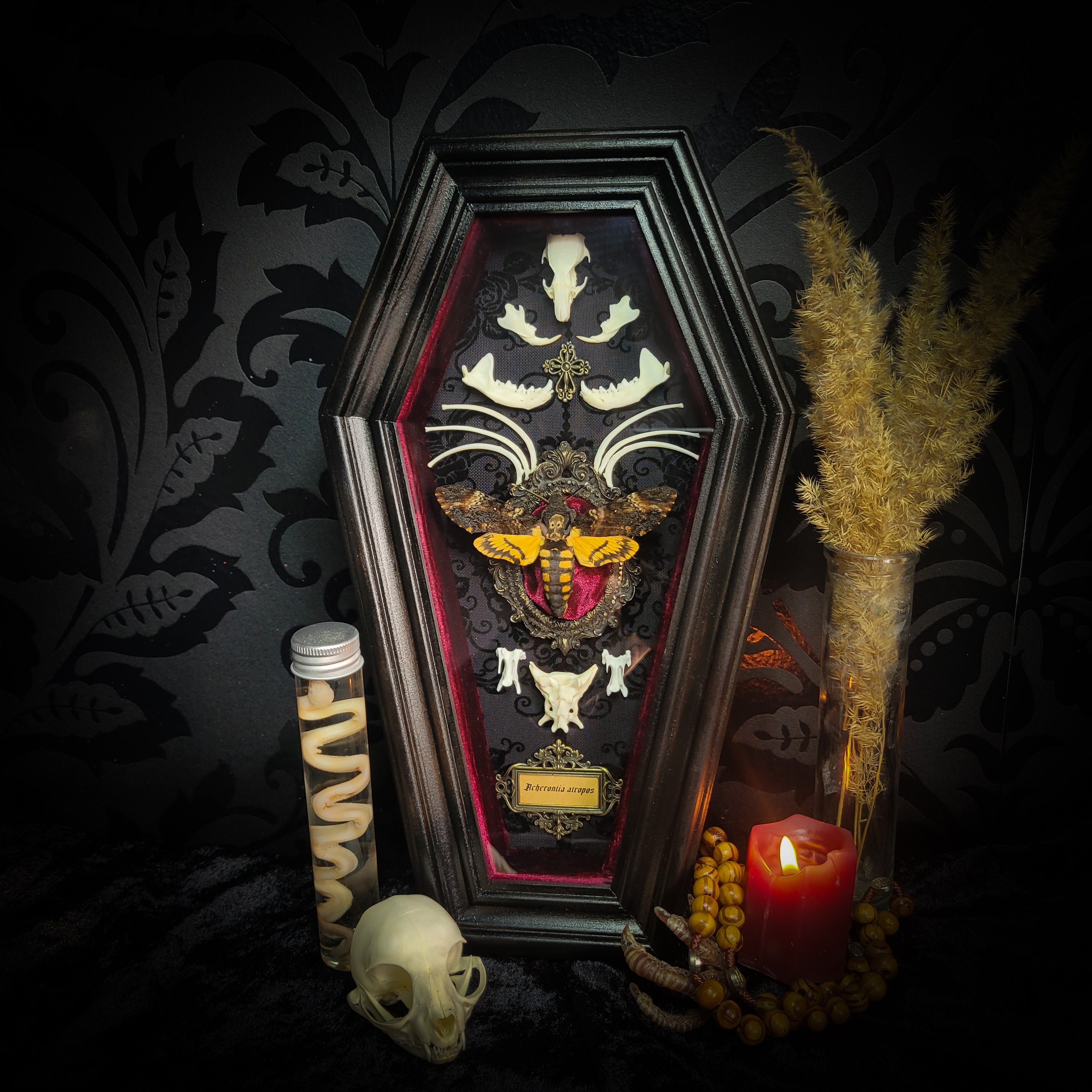 Moth Wooden Coffins — handmade gothic coffin shadowbox, made to order. Real death's-head moth (Acherontia atropos) in handbuilt wooden coffin frame with velvet background, bones, metallic ornaments and ritua