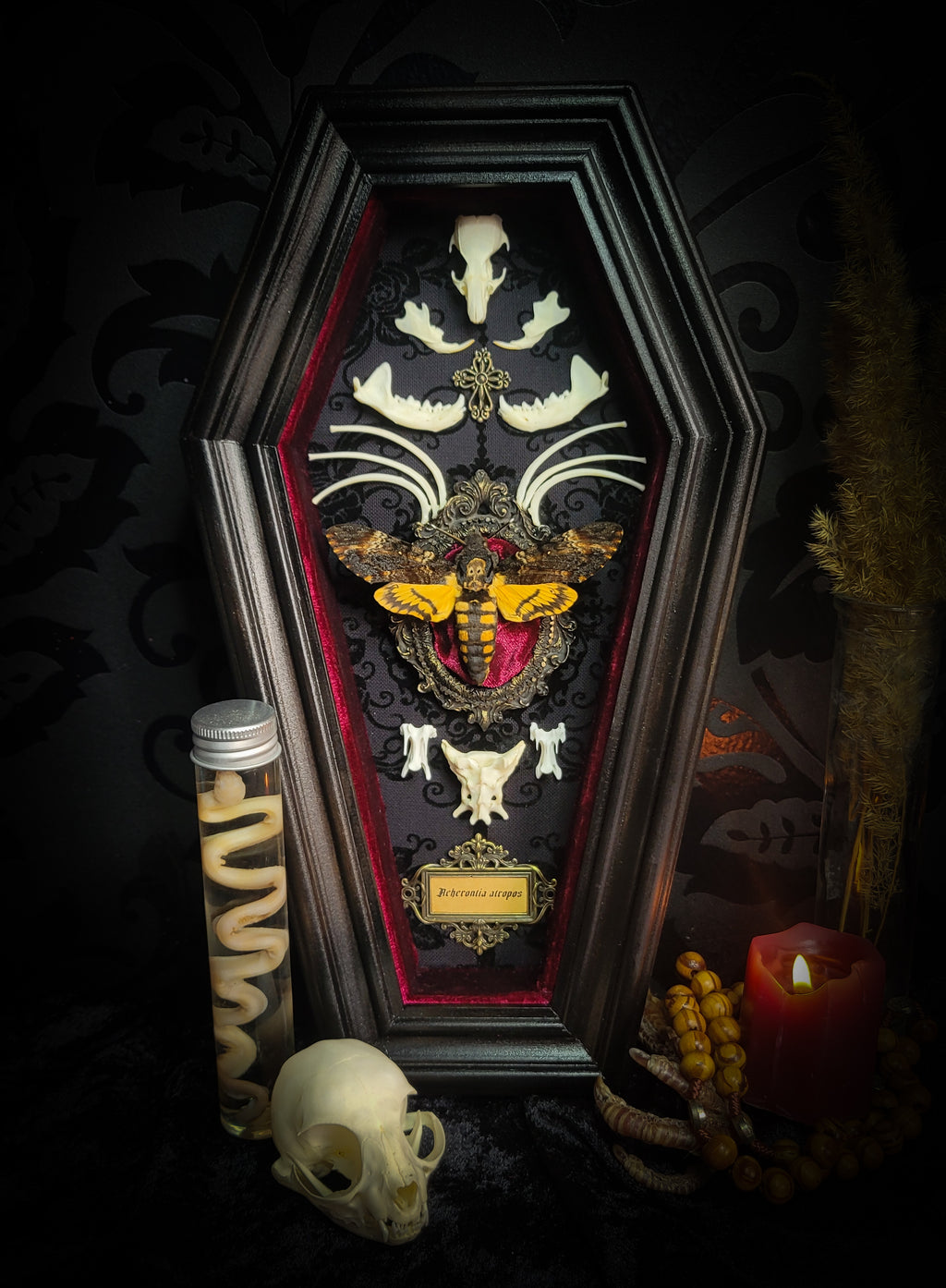 Moth Wooden Coffins — handmade gothic coffin shadowbox, made to order. Real death's-head moth (Acherontia atropos) in handbuilt wooden coffin frame with velvet background, bones, metallic ornaments and ritua
