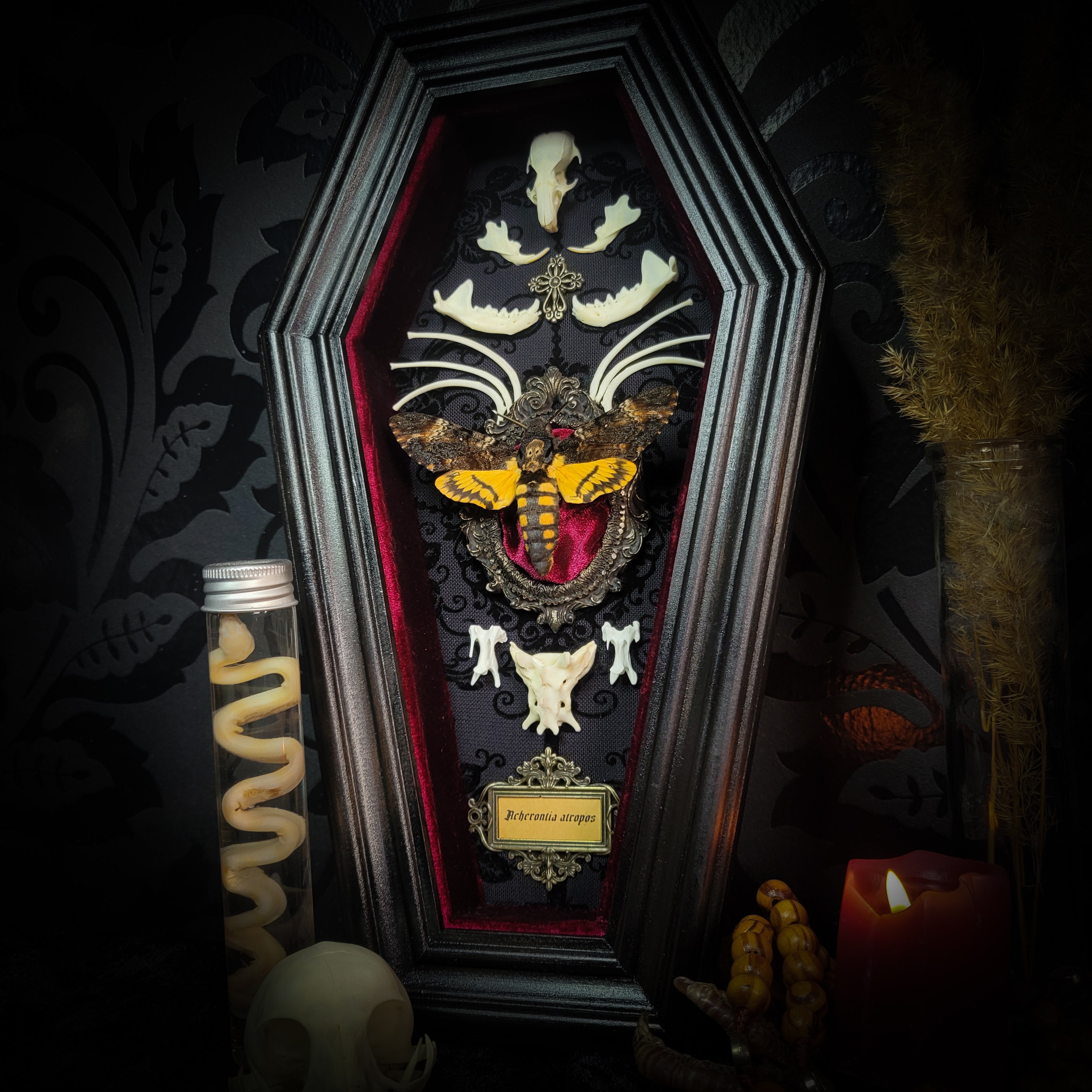 Moth Wooden Coffins — handmade gothic coffin shadowbox, made to order. Real death's-head moth (Acherontia atropos) in handbuilt wooden coffin frame with velvet background, bones, metallic ornaments and ritua