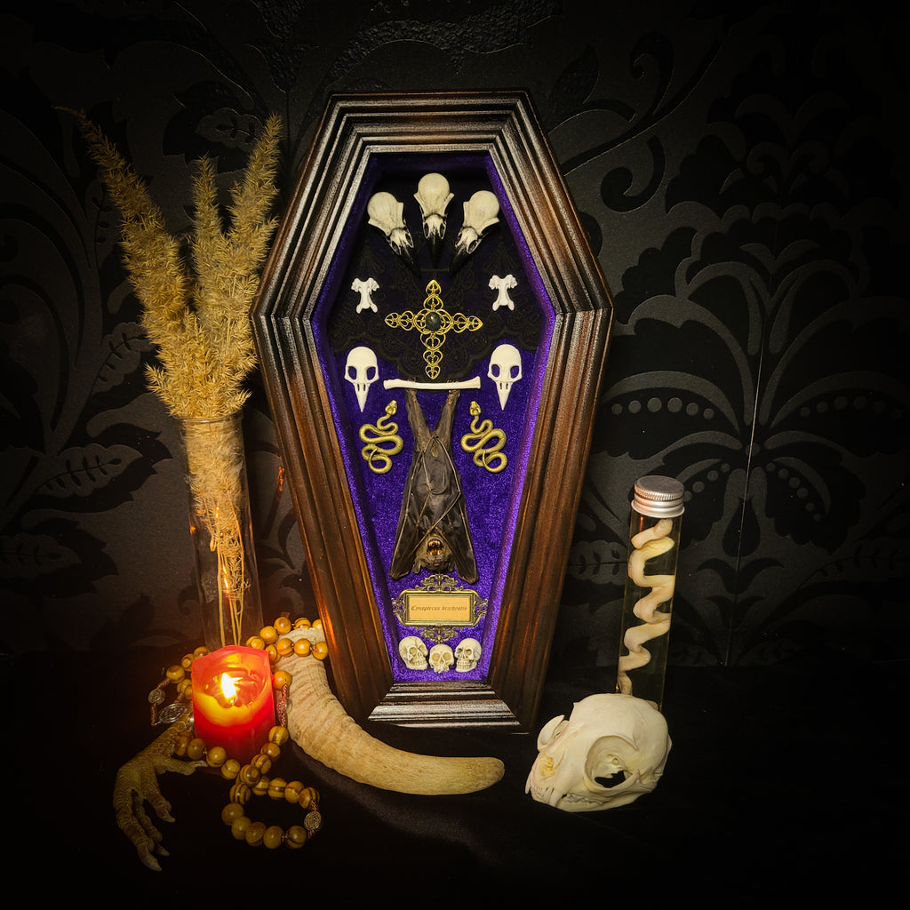 Bat Wooden Coffins — handmade gothic coffin shadowbox, made to order. Handbuilt wooden coffin frame with bat specimen, velvet background, ornate decorations and ritual details. Dark gothic wall and altar decor, made from scratch.