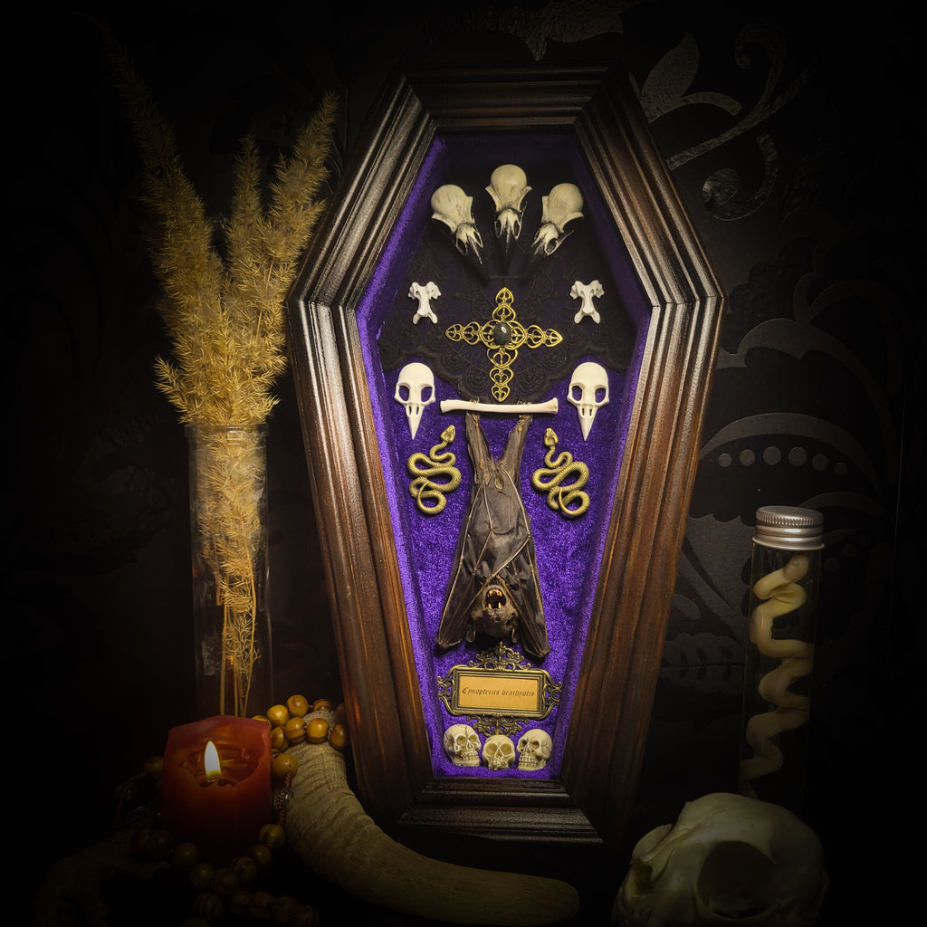 Bat Wooden Coffins — handmade gothic coffin shadowbox, made to order. Handbuilt wooden coffin frame with bat specimen, velvet background, ornate decorations and ritual details. Dark gothic wall and altar decor, made from scratch.