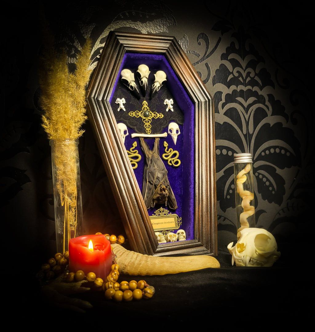 Bat Wooden Coffins — handmade gothic coffin shadowbox, made to order. Handbuilt wooden coffin frame with bat specimen, velvet background, ornate decorations and ritual details. Dark gothic wall and altar decor, made from scratch.