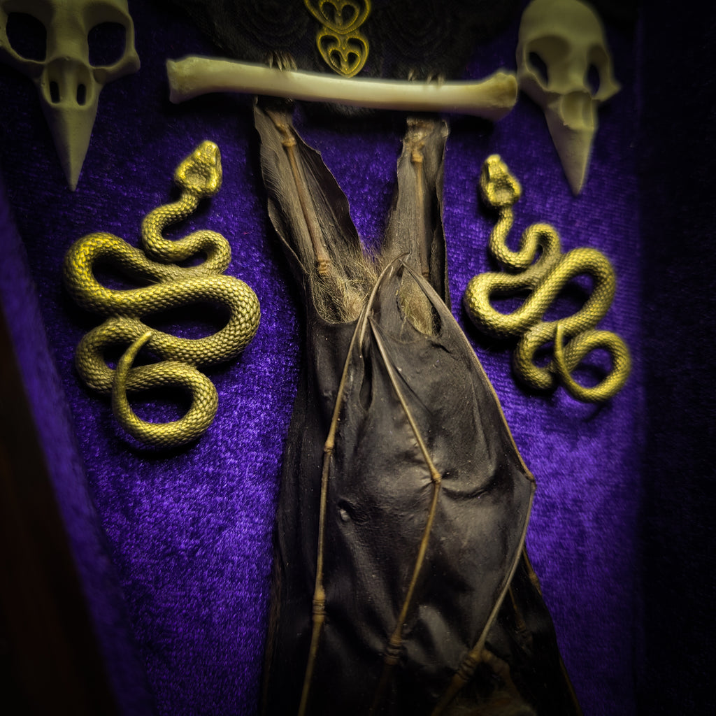 Bat Wooden Coffins — handmade gothic coffin shadowbox, made to order. Handbuilt wooden coffin frame with bat specimen, velvet background, ornate decorations and ritual details. Dark gothic wall and altar decor, made from scratch.