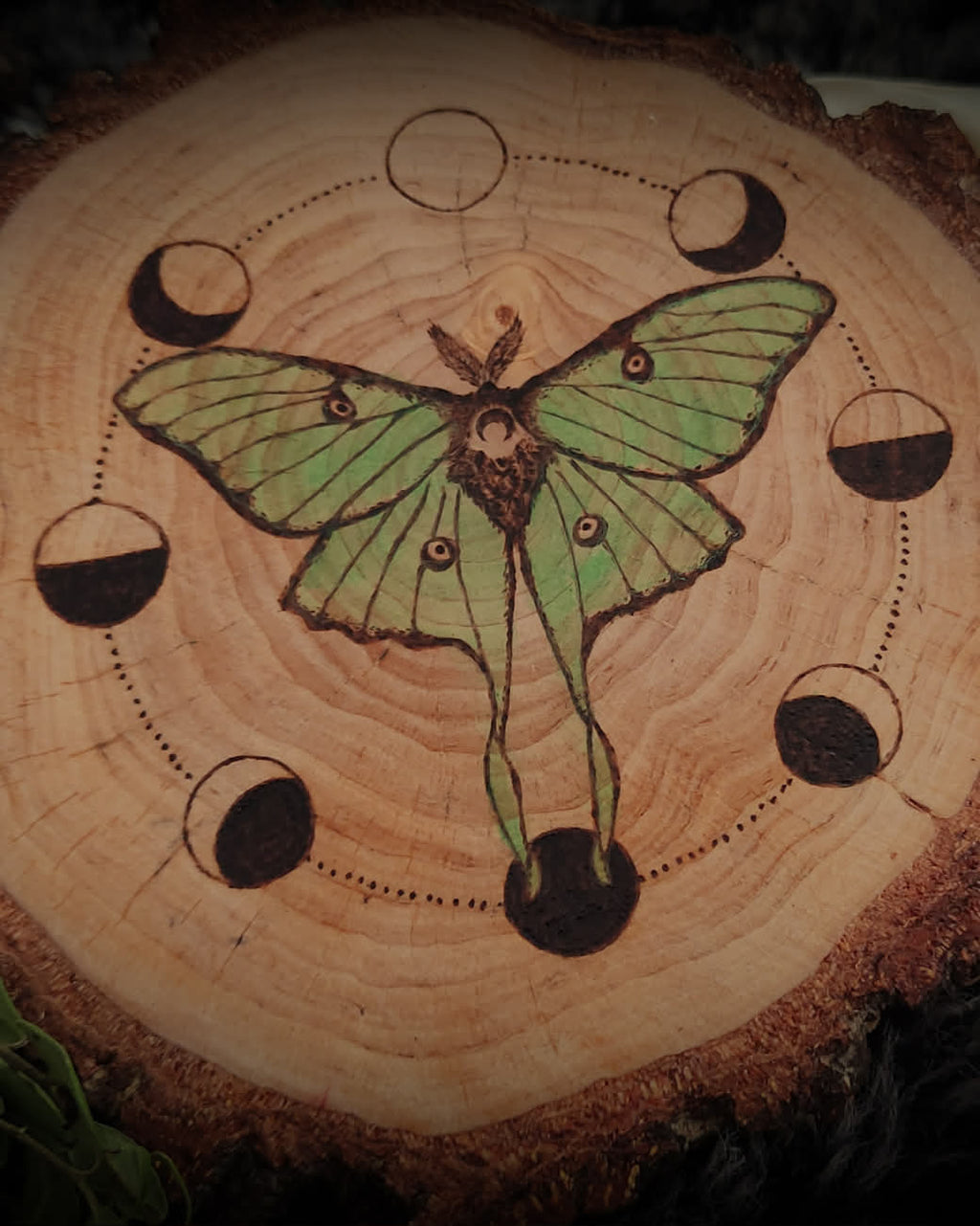 Handmade gothic pyrography — lunar moth with moon phases hand-burned into natural wood slice, altar decor and ritual art