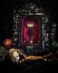 Crimson Throne | handmade gothic shadowbox with real preserved scorpion, crimson velvet, baroque hand-cast frame | Morbid Oddities
