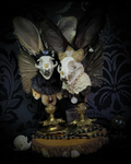 Silent Companion — handmade gothic art doll, made to order. One-of-a-kind puppet with real animal skull on antique decorative base, fully handmade original character. Dark collectible sculpture by Morbid Oddities.