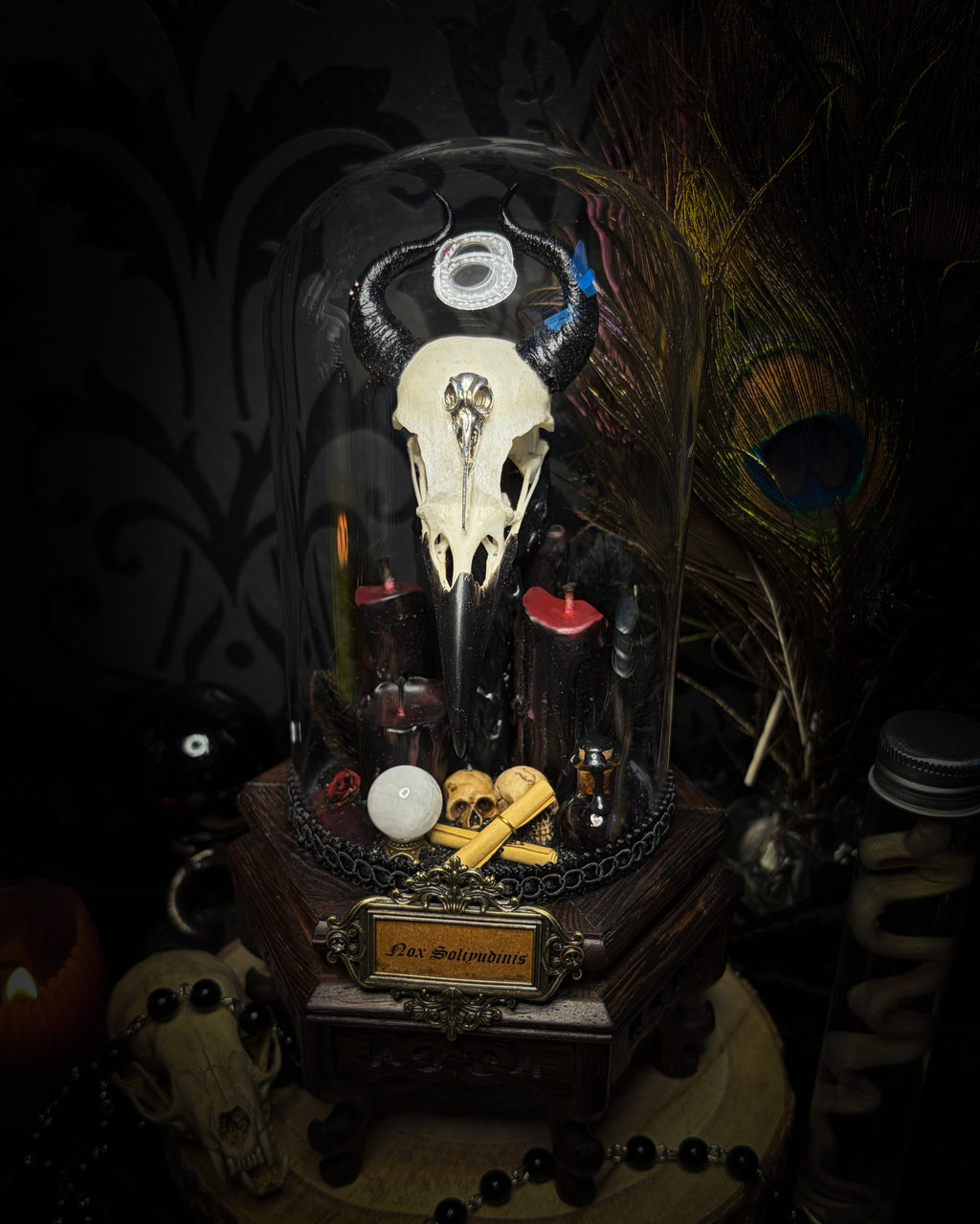Nox Solitudinis | Gothic