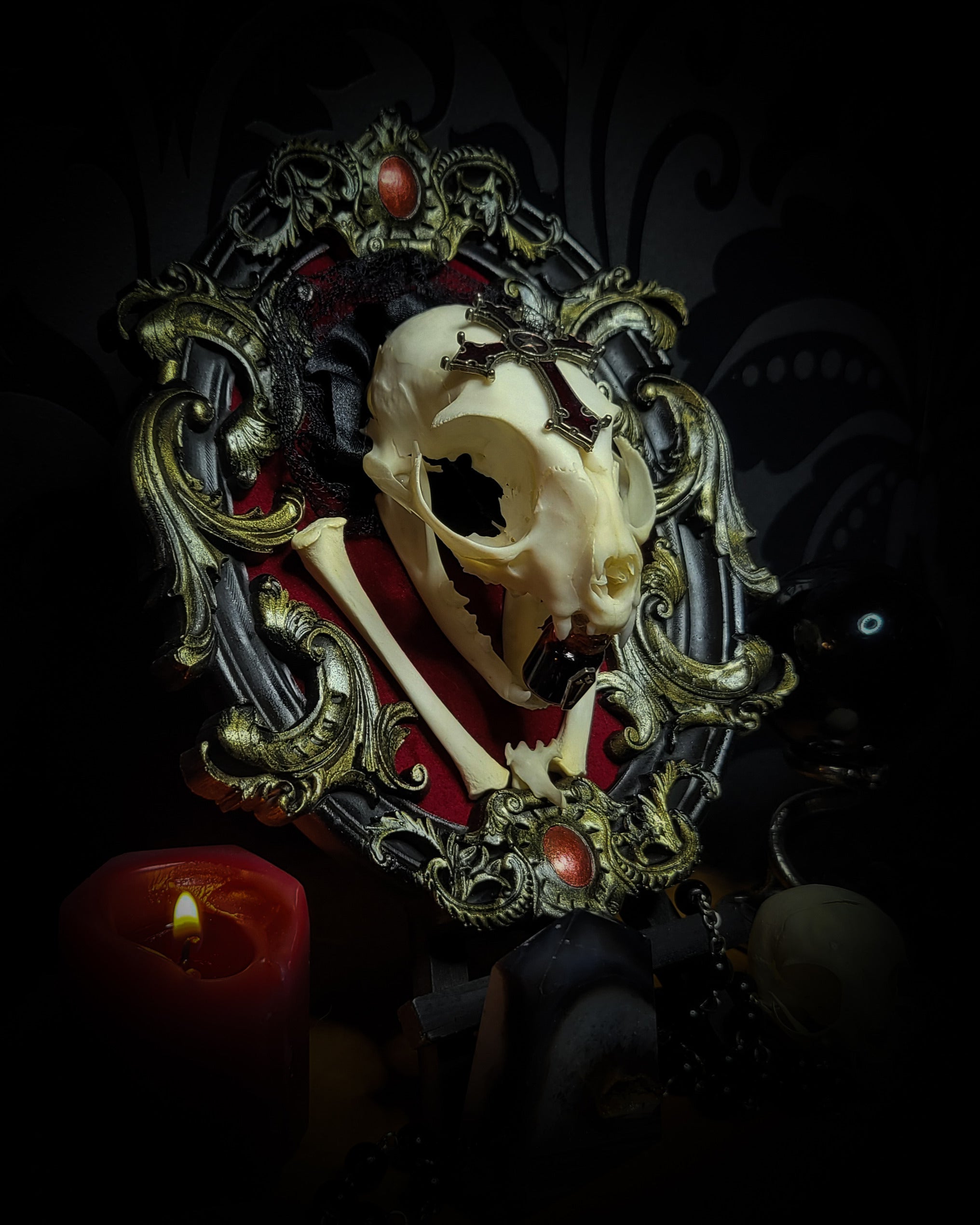 Decorative skull with ornate frame and red gemstones on a dark background Baroque Kitten – real cat skull on red velvet in hand-cast baroque frame, gothic vampire wall decor