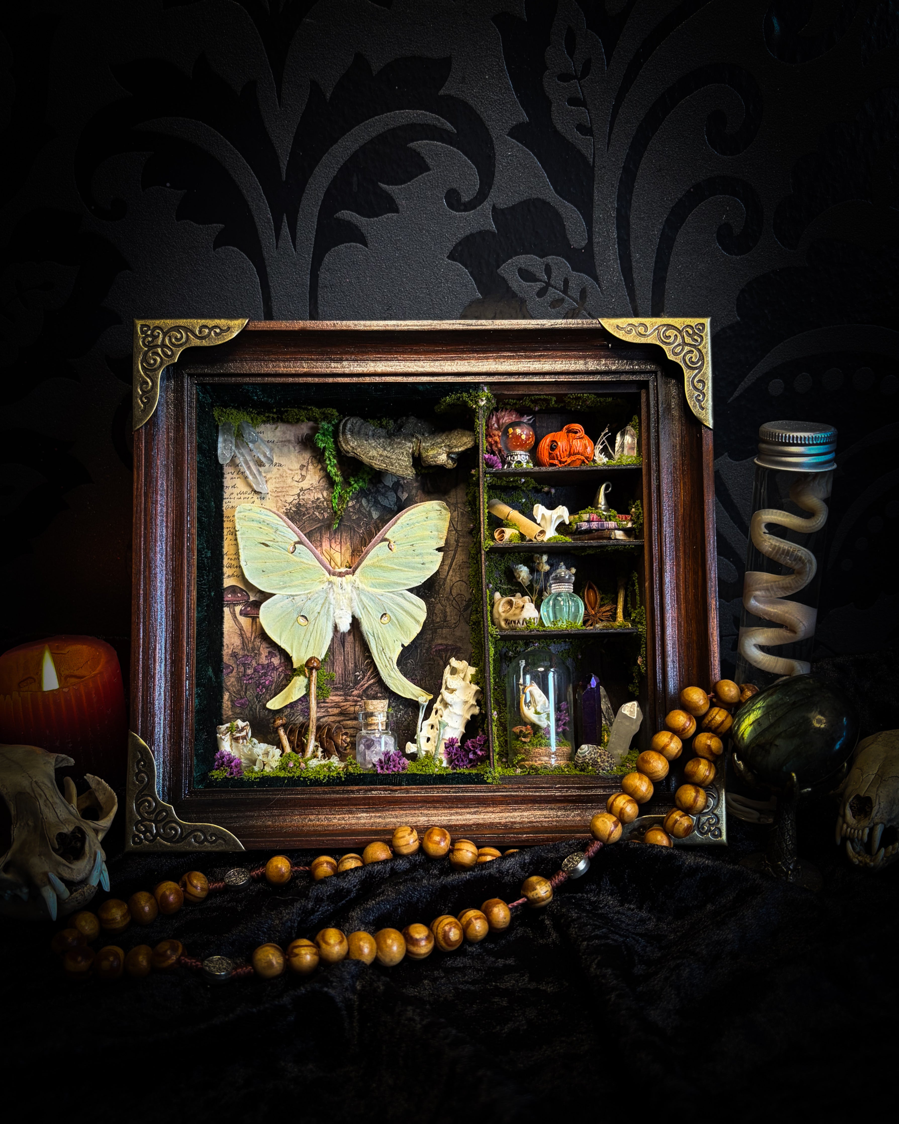 The Librarian | handmade whimsical witch's library shadowbox with Actias luna moth, miniature shelves, crystals, skulls, spell books and curiosities, dark wood frame with green velvet | Morbid Oddities
