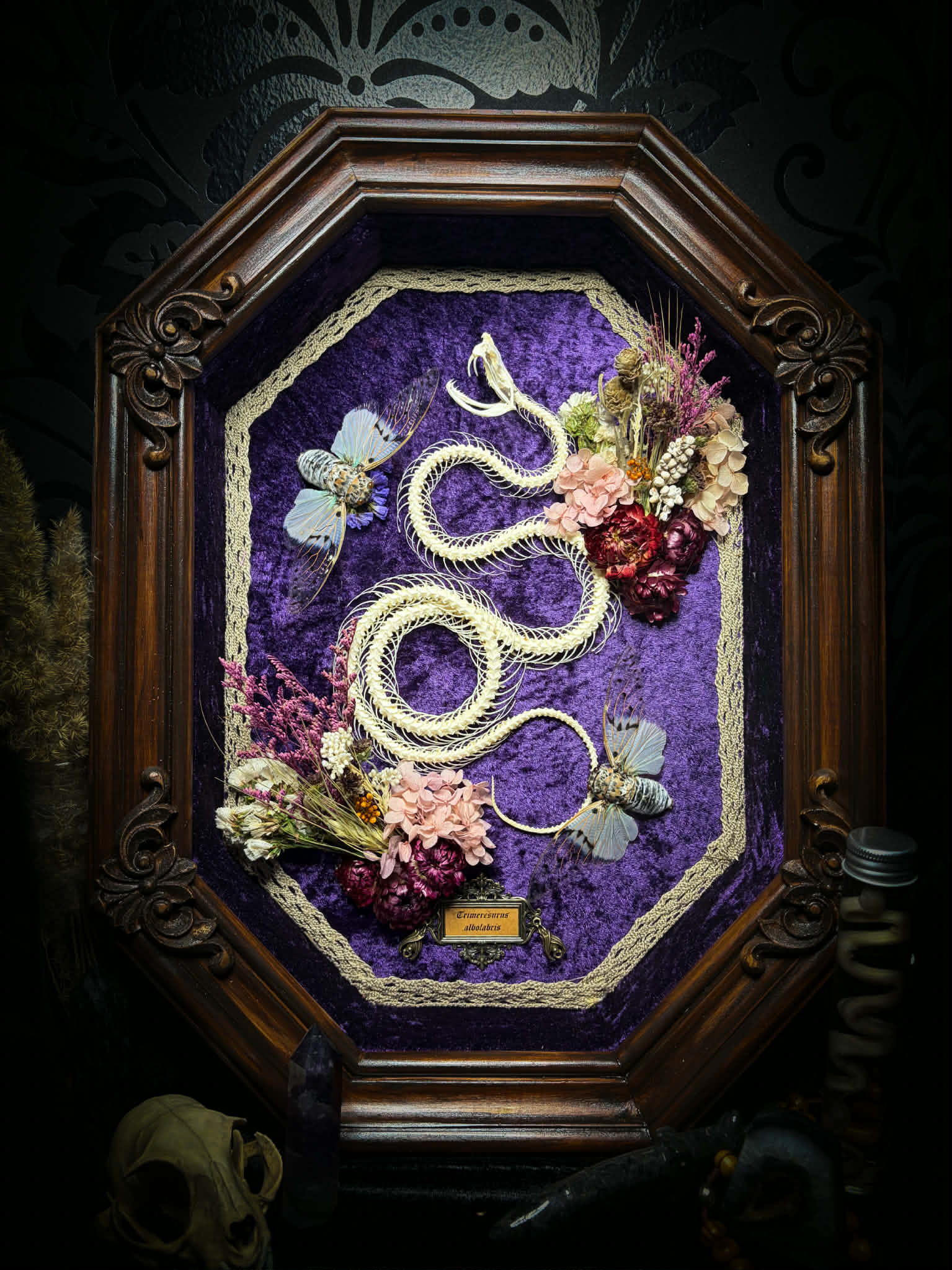 Gothic shadowbox — articulated snake skeleton on deep violet velvet, preserved florals, ghost cicadas, baroque wooden frame with gold accents, 45x35cm