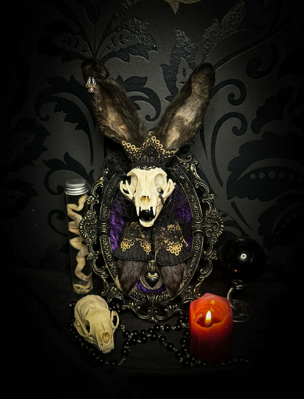 Bunny Kitten — handmade gothic shadowbox, made to order. Real cat skull with preserved bunny ears and paws, set on velvet background in ornate hand-finished frame with lace and decorative details. Dark whimsical collectible decor.