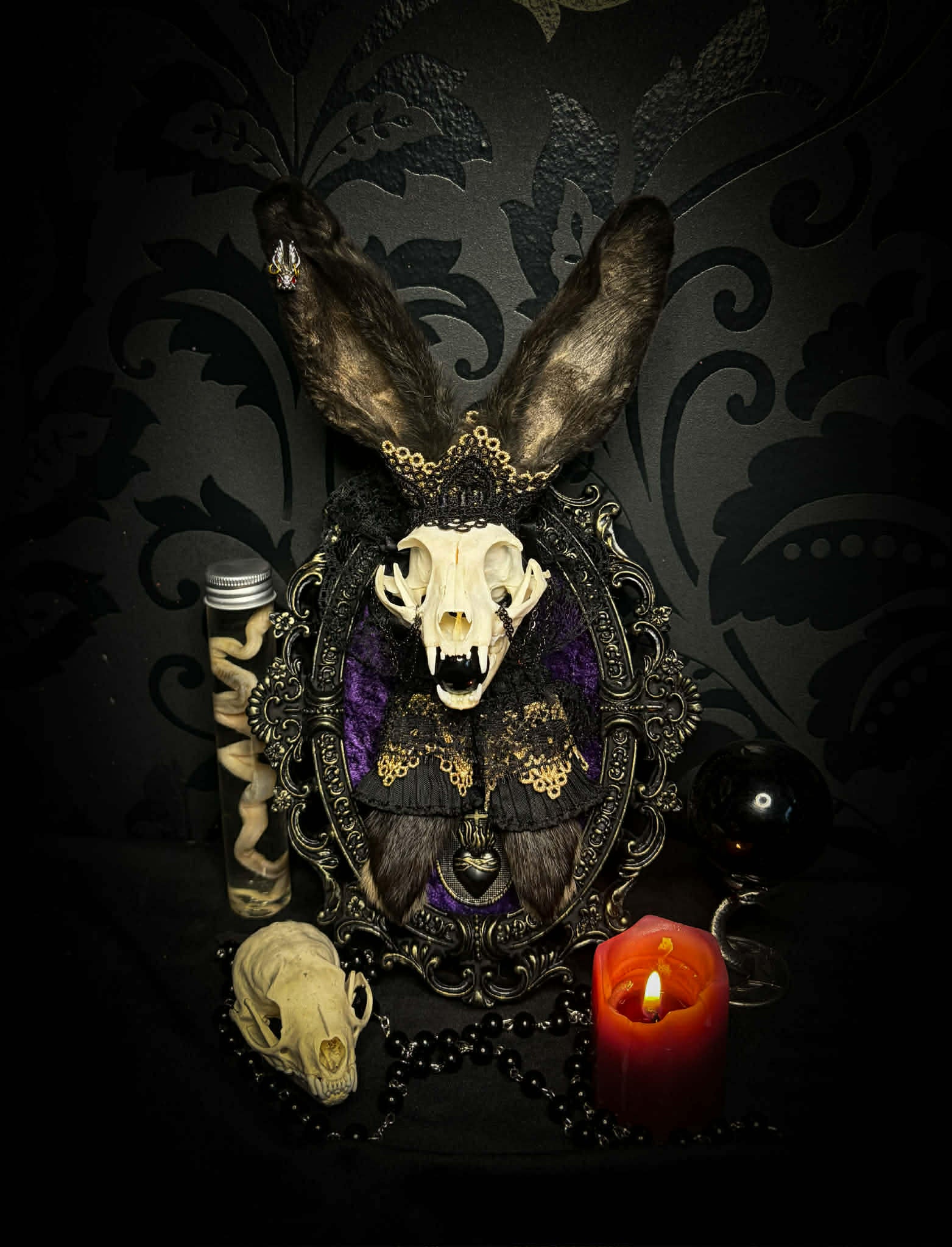 Bunny Kitten — handmade gothic shadowbox, made to order. Real cat skull with preserved bunny ears and paws, set on velvet background in ornate hand-finished frame with lace and decorative details. Dark whimsical collectible decor.