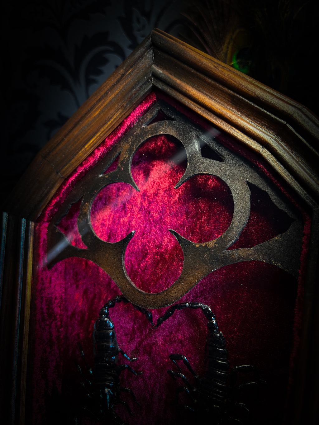 Veneficium gothic shadowbox — two preserved black scorpions arranged in a heart shape on deep crimson velvet, with hand-carved gothic tracery, preserved roses and vampire candles, in a hand-carved wooden frame with glass front. Morbid oddities.
