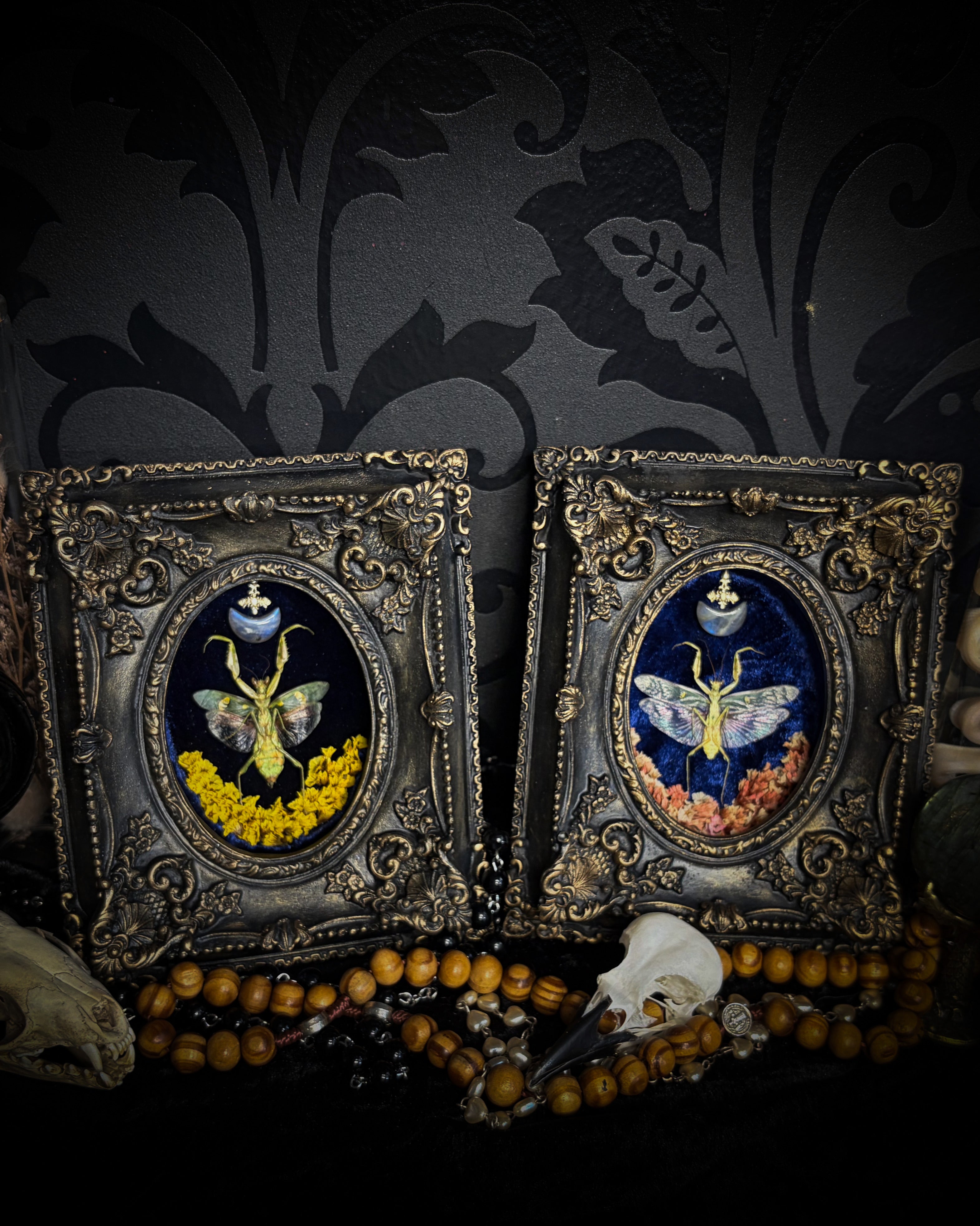Mantis Twin Frames | Other Insects — handmade gothic wall decor with real preserved mantis pair, labradorite moons, preserved flowers in aged hand-painted vintage frames with metallic accents, 14.5x11.5cm each