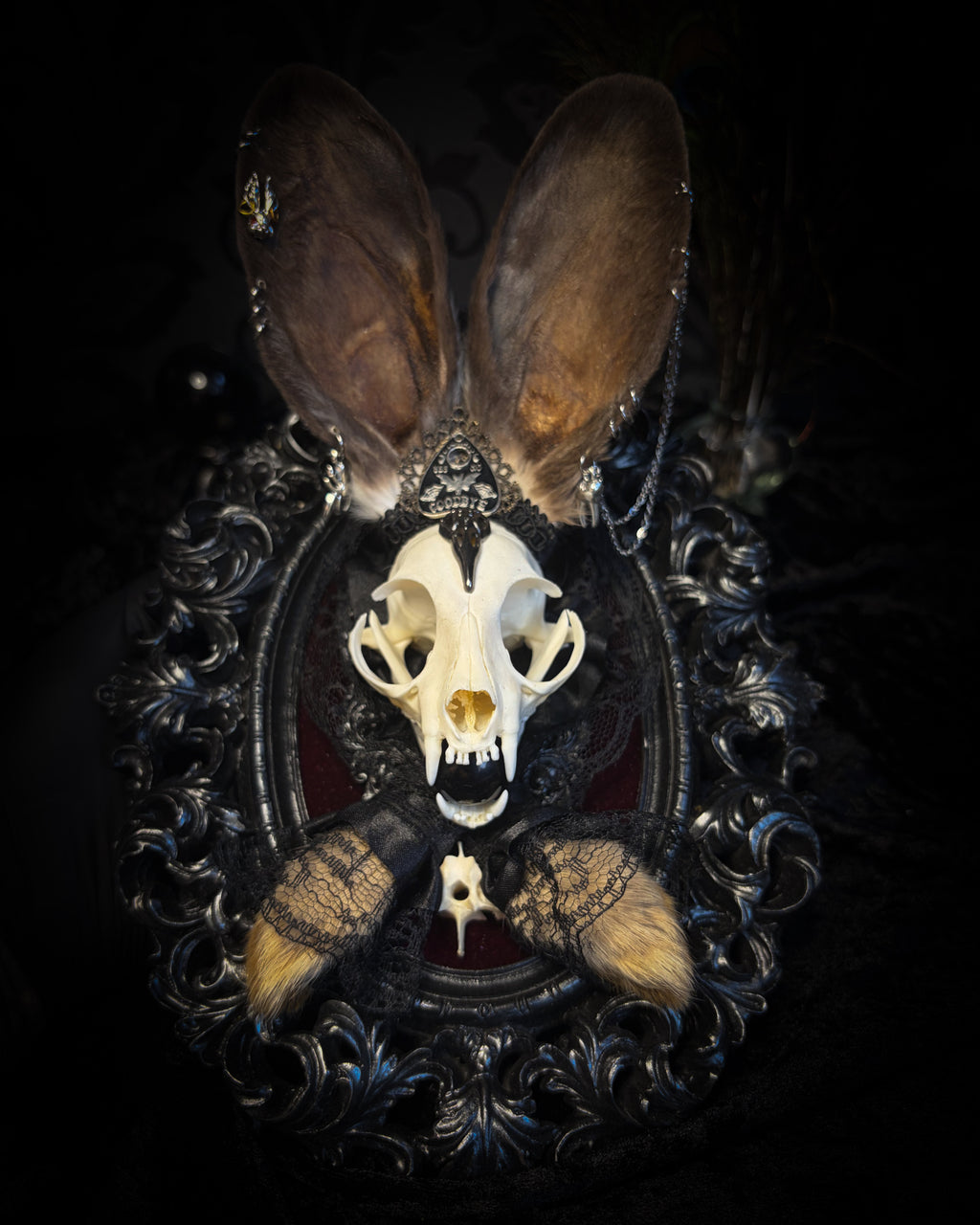 Vampiria whimsical shadowbox — cat skull with rabbit fur ears, red velvet, black lace, ouija planchette and ornate silver-black frame
