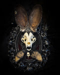 Vampiria whimsical shadowbox — cat skull with rabbit fur ears, red velvet, black lace, ouija planchette and ornate silver-black frame