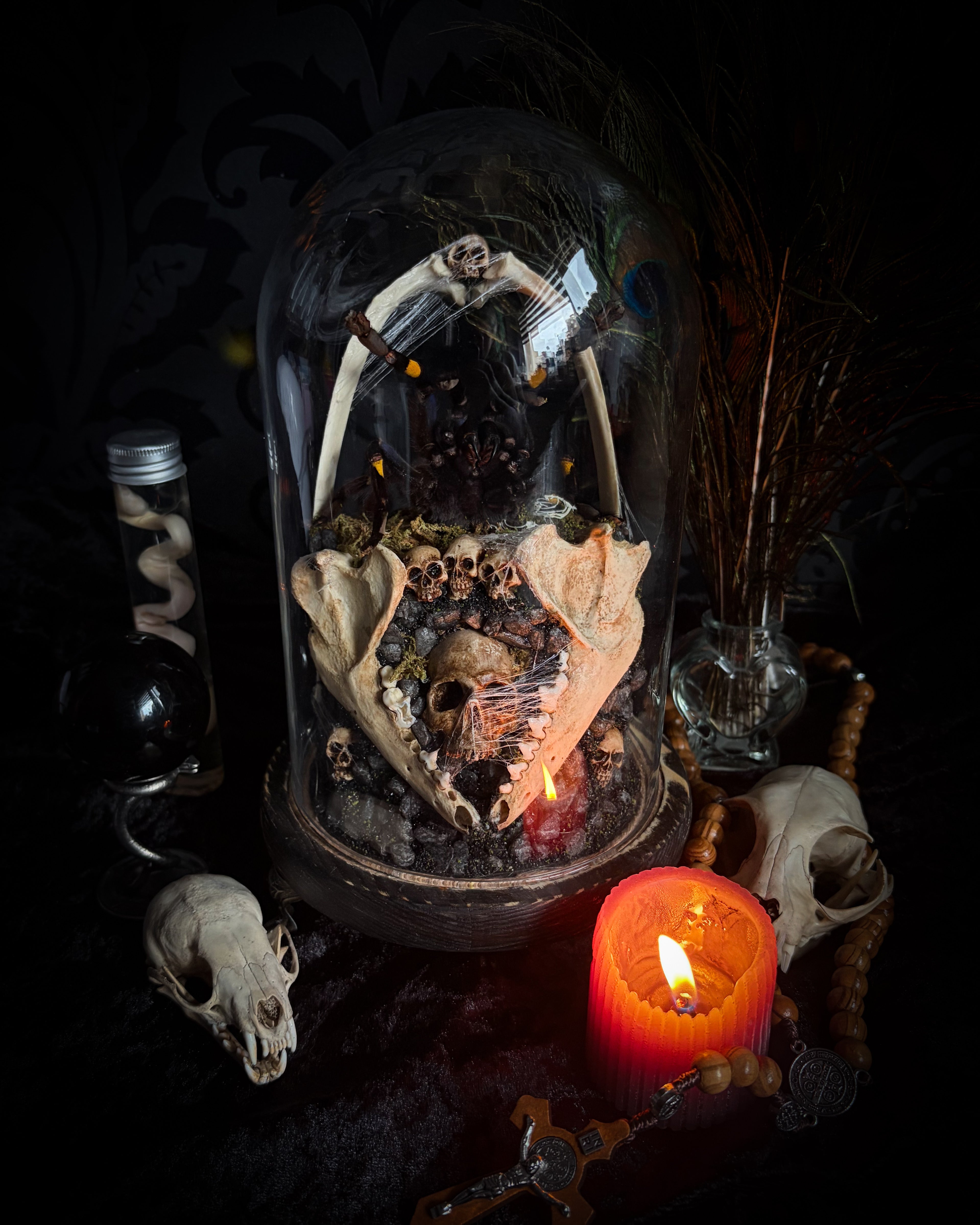 The Keeper of Bones | Tarantulas