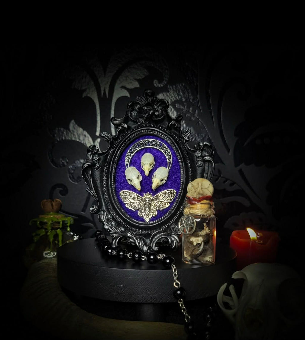 Mothica — handmade gothic shadowbox, made to order. Three real mouse skulls in ornate gothic frame on velvet background, with moth and moon ornament. Dark macabre wall decor, 13x10cm.