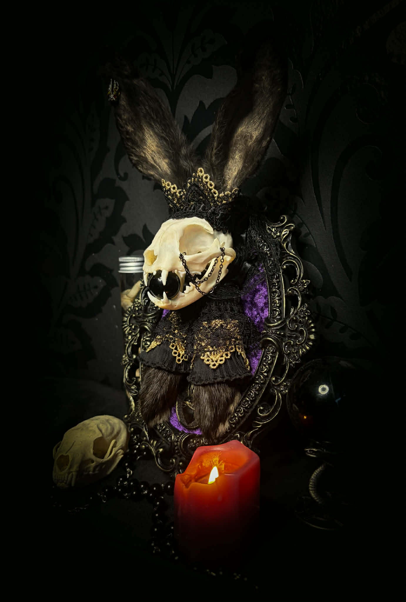 Bunny Kitten — handmade gothic shadowbox, made to order. Real cat skull with preserved bunny ears and paws, set on velvet background in ornate hand-finished frame with lace and decorative details. Dark whimsical collectible decor.