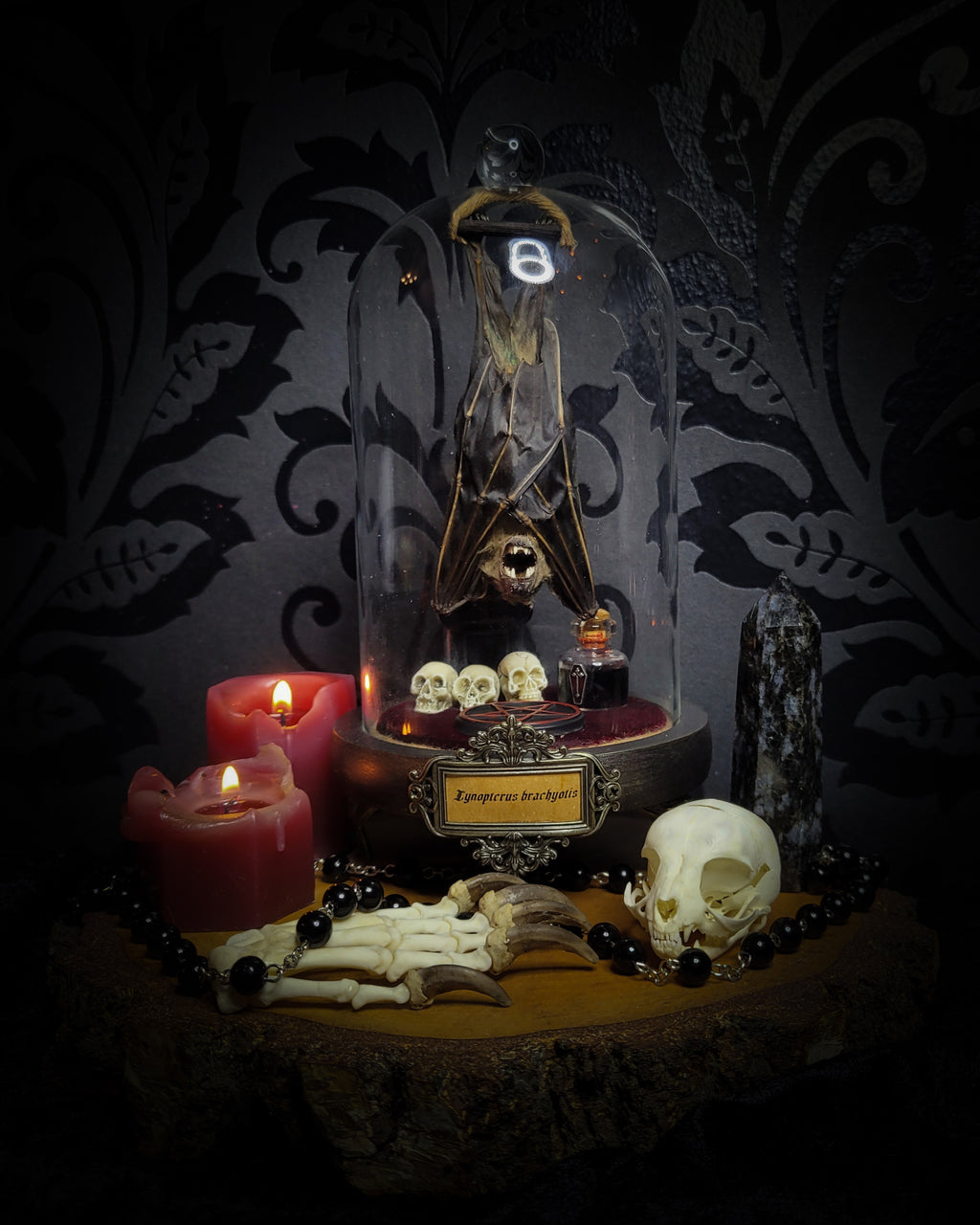 Decorative display with skulls, candles, and a crystal ball under a glass dome on a dark background. bat ccultia — handmade gothic glass dome display, made to order. Bat specimen under glass cloche on hand-painted wooden base with ritual sigil, miniature skulls and Latin species nameplate. Occult gothic decor, 21x12cm.