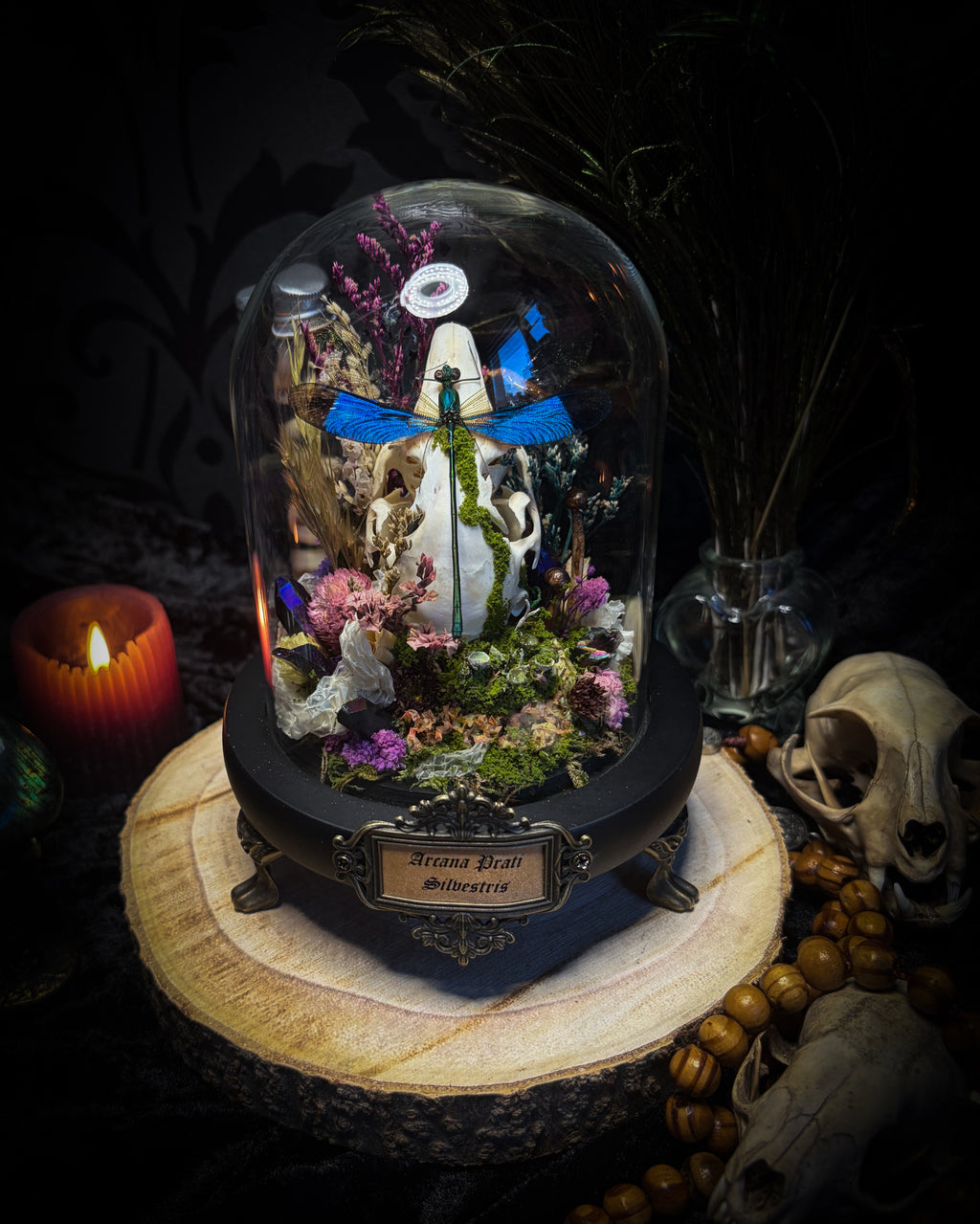 Arcana Prati Silvestris | handmade woodland glass dome with real rabbit skull, Calopteryx splendens dragonfly, snake skin, moss, lichen, dried flowers, dew-drop mushrooms and wooden base | Morbid Oddities

