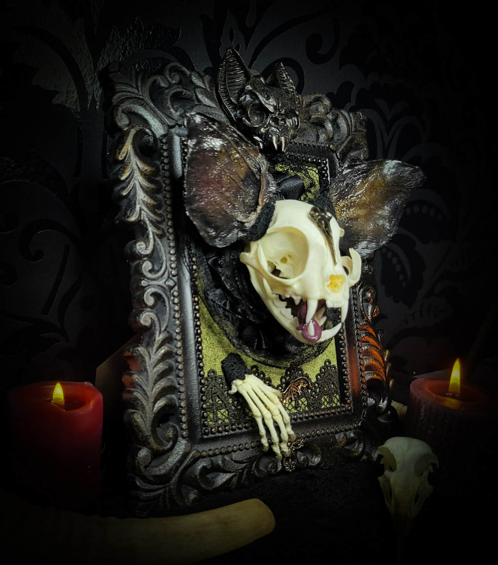 Bunny Kitten — handmade gothic shadowbox, made to order. Real cat skull with preserved bunny ears and paws, set on velvet background in ornate hand-finished frame with lace and decorative details. Dark whimsical collectible decor.