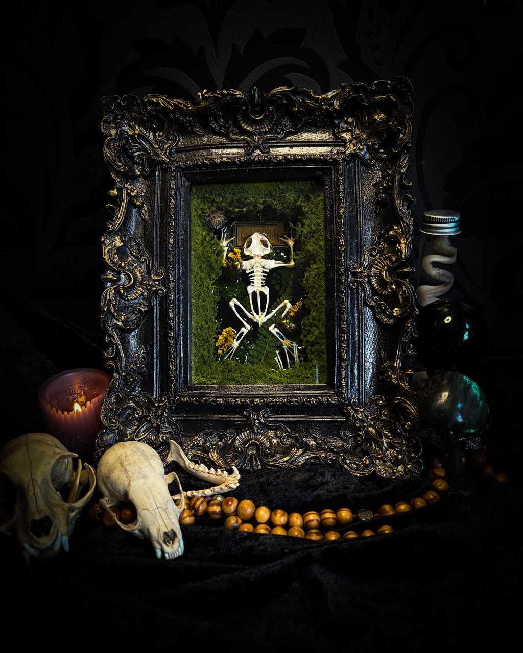Witch's Familiar | Toads & Lizards