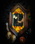 Memento Vivere gothic shadowbox — preserved centipede, Deilephila elpenor hawk-moth and white butterfly on teal-green velvet with dried marigolds and cream lace, in a hand-carved wooden coffin frame with glass front, by Morbid Oddities