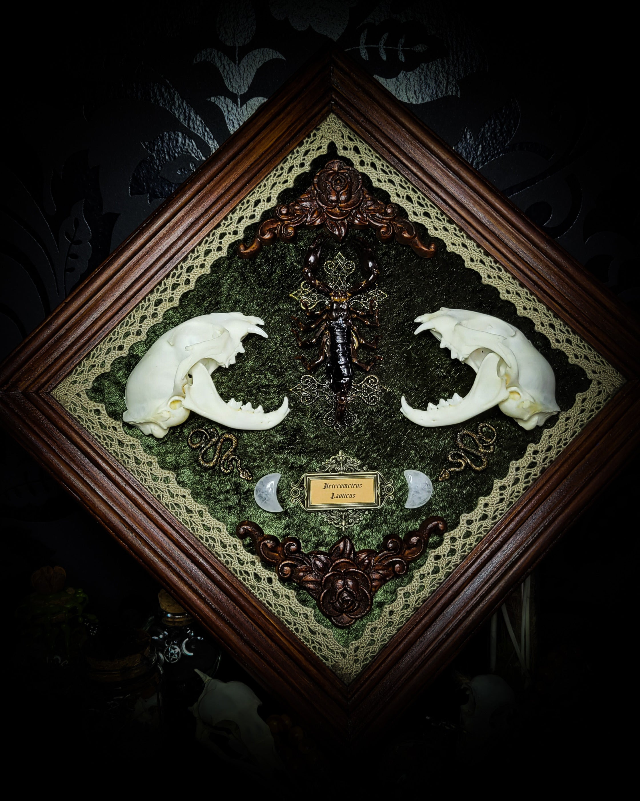 Venomous Elegance | Witches — handmade gothic tarot card holder with real cat skull, amethyst pendulum, twin serpent and crescent moon detailing, rose quartz and crystal elements on wooden base, 28x28cm