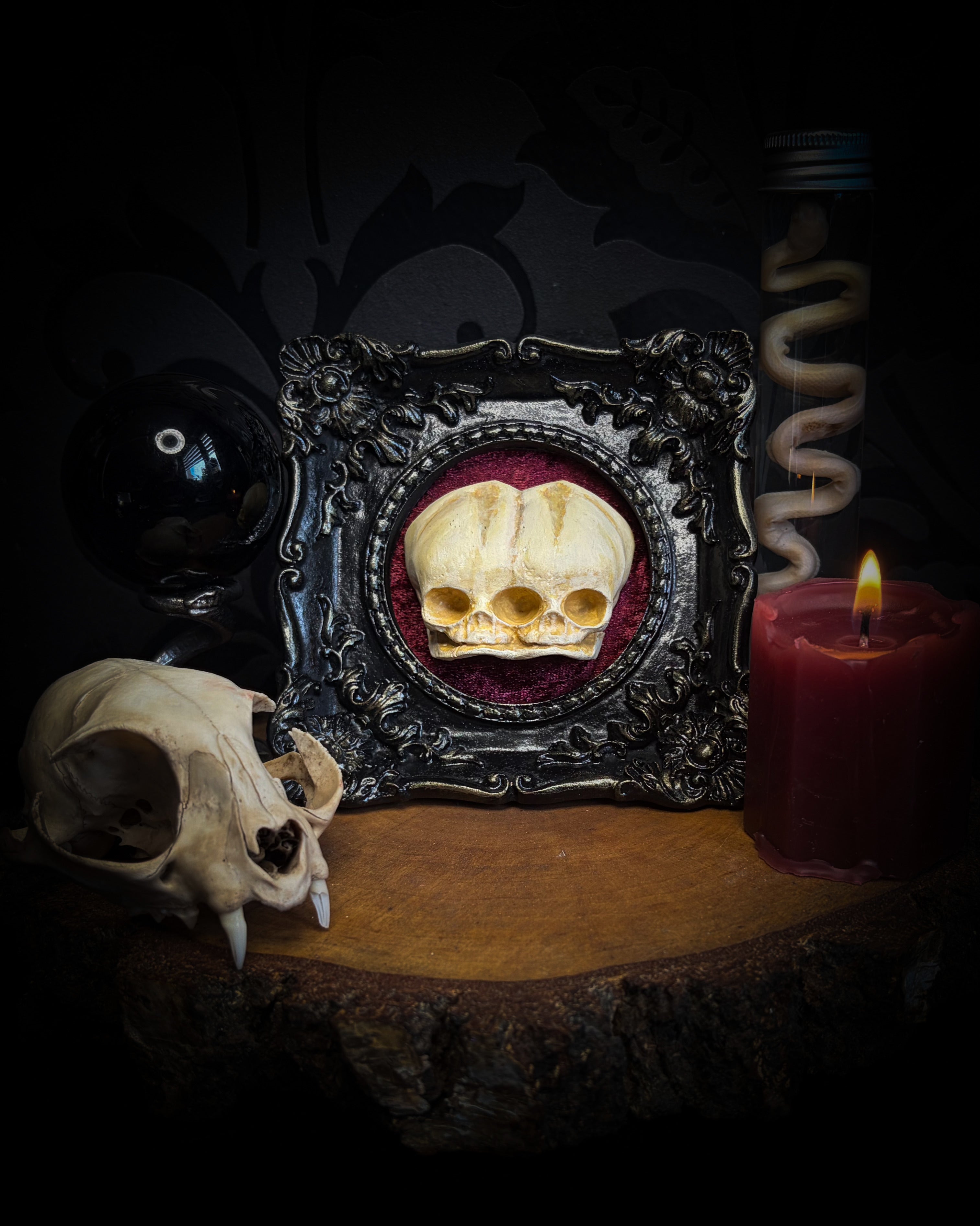 Decorative skull in a frame with a candle on a dark background handmade gothic shadowbox conjoined infant skulls hand-cast ornamental frame black velvet dark wall decor