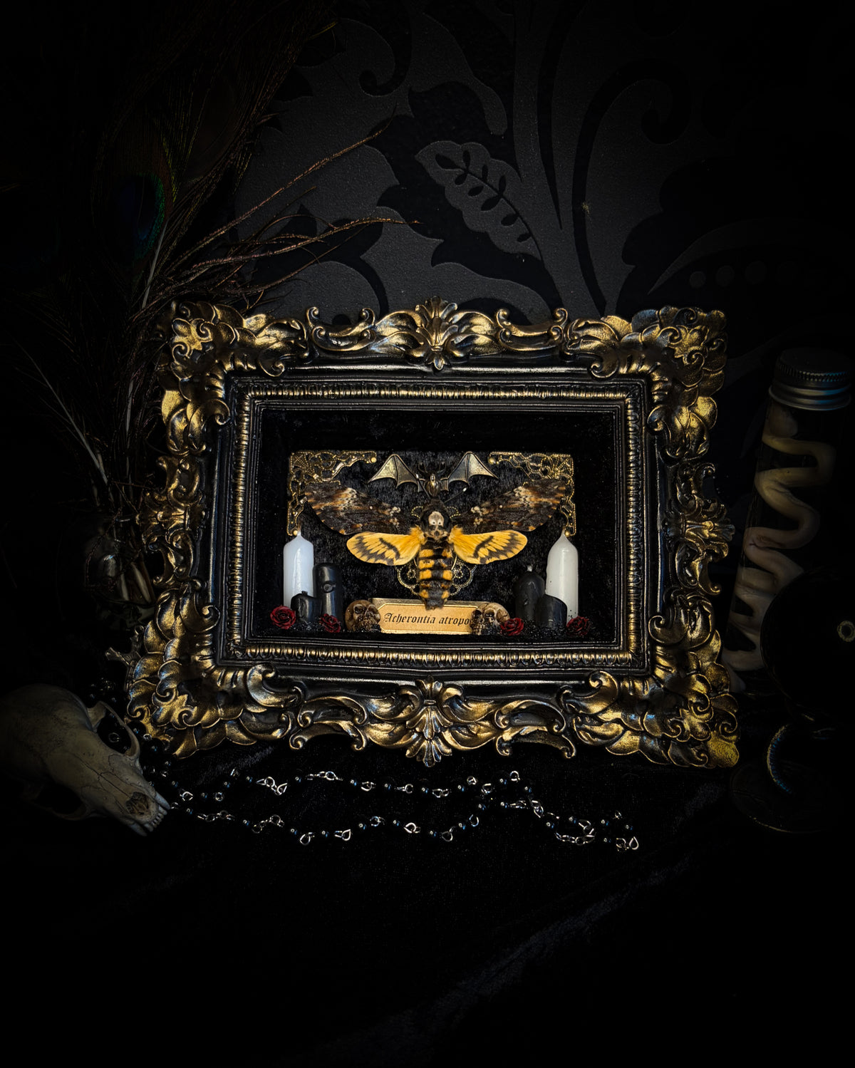 Handmade gothic shadowbox with real Acherontia atropos death's-head hawk-moth, skulls, wax roses and gold bat in ornate black and gold frame | Morbid Oddities