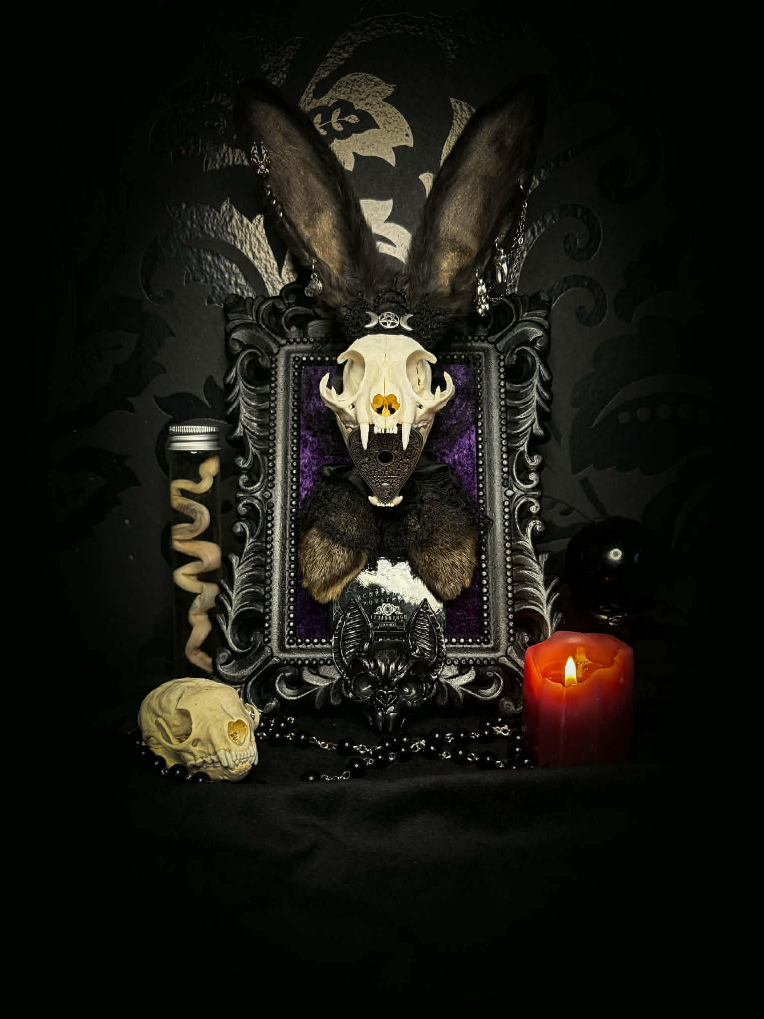 Bunny Kitten — handmade gothic shadowbox, made to order. Real cat skull with preserved bunny ears and paws, set on velvet background in ornate hand-finished frame with lace and decorative details. Dark whimsical collectible decor.